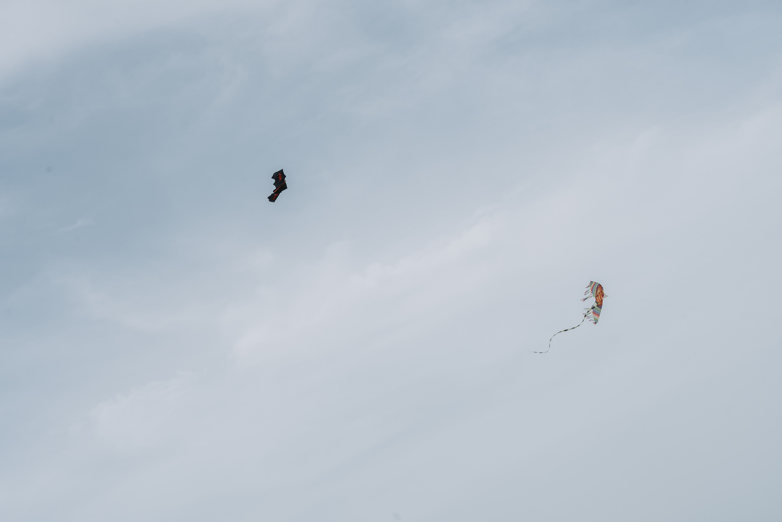 Ristorante Onda Blu, Rimini. Fotografia e video