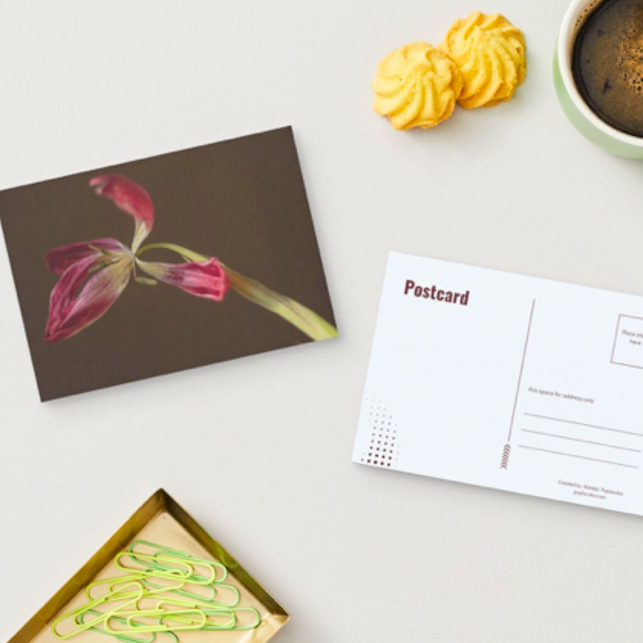 ART POSTCARDS. Natalja Poplavska — Visual artist, Photographer, East Sussex, London