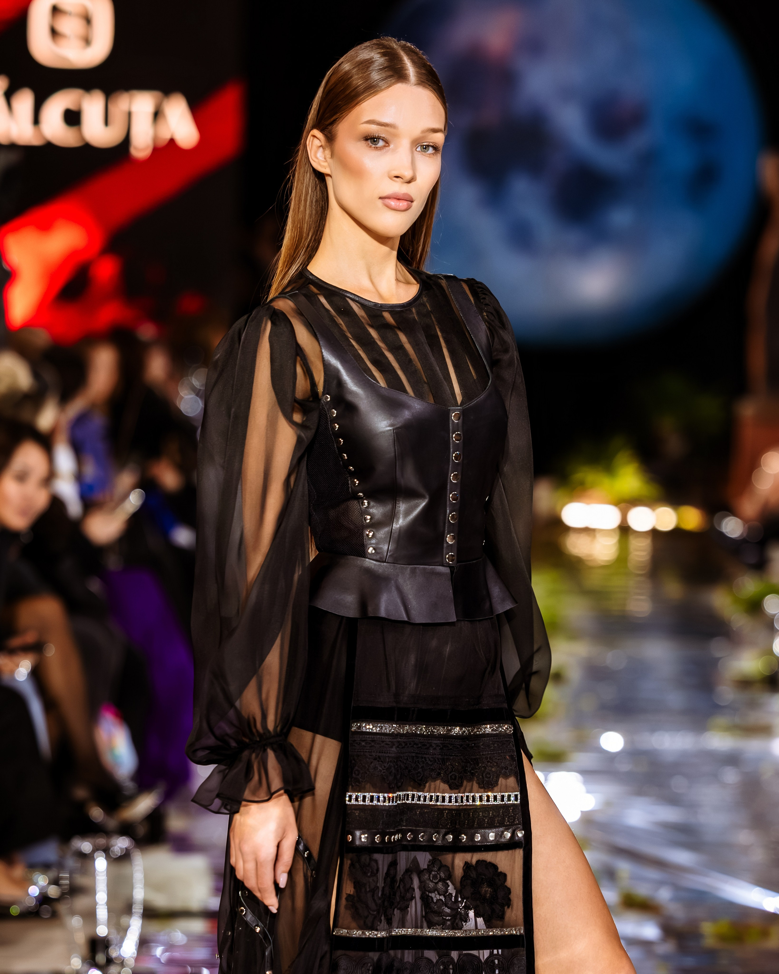 Prive. Marius Ciocan