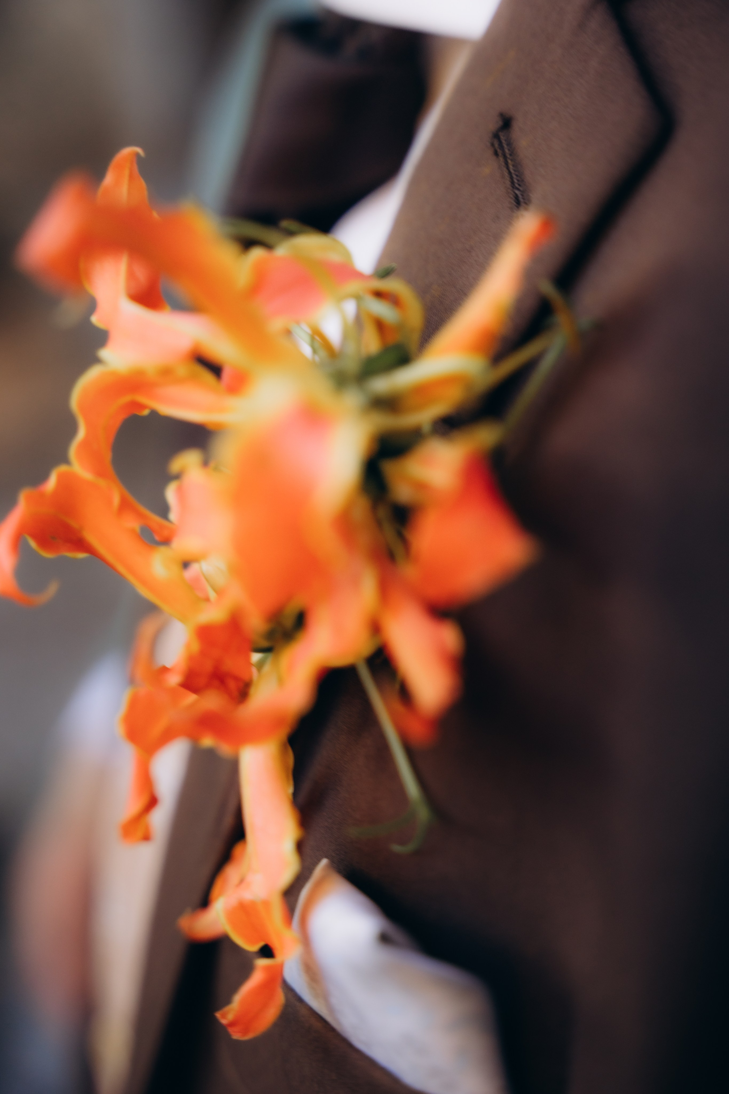 Wedding | Binissati. Elena Seewald