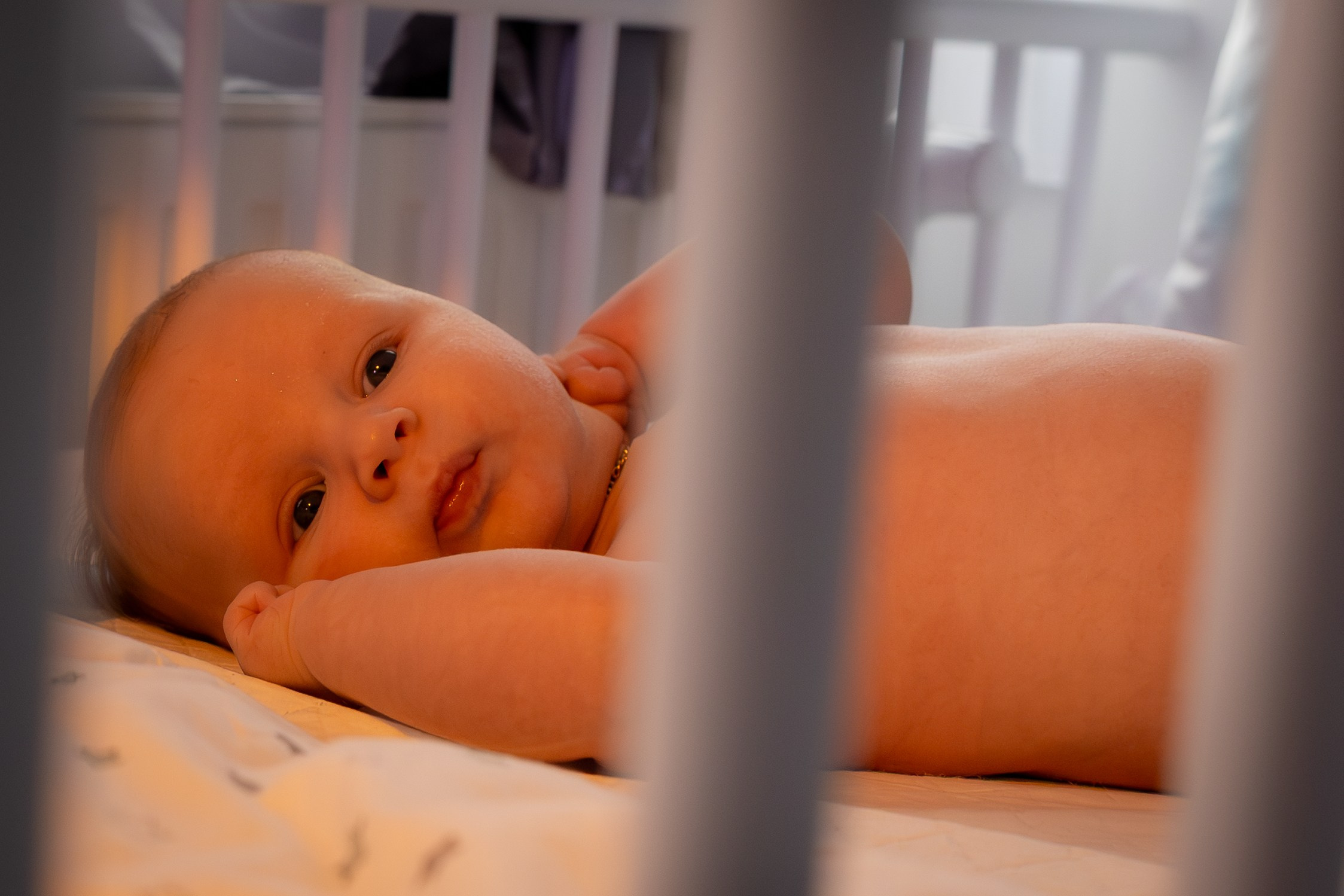 Fotografie cu suflet – Amintiri care trăiesc peste timp. ---- Fotografie mit Herz – Erinnerungen, die bleiben