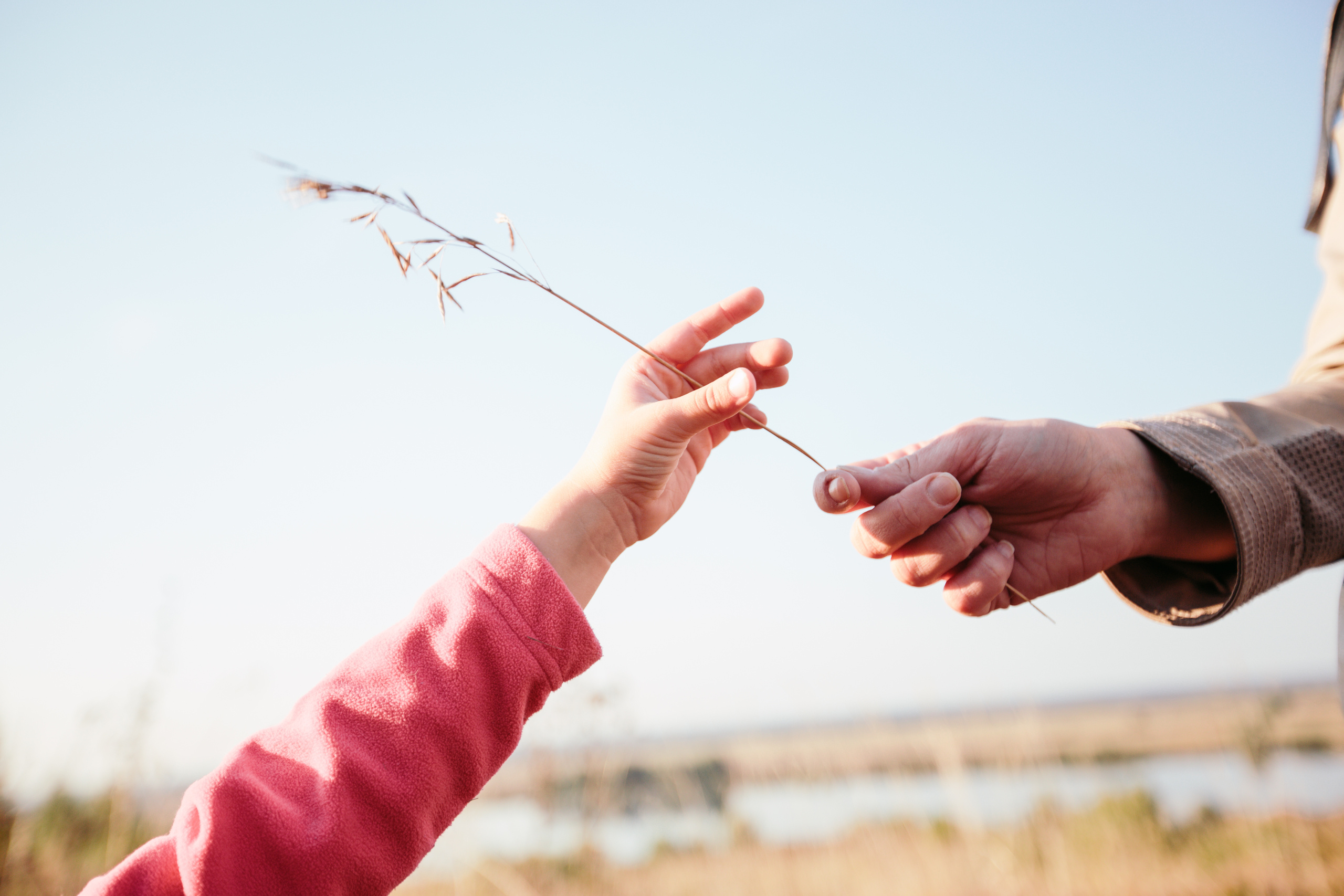 Папина дочка. Ksenia Marchand/ Lifestyle фотограф в Париже