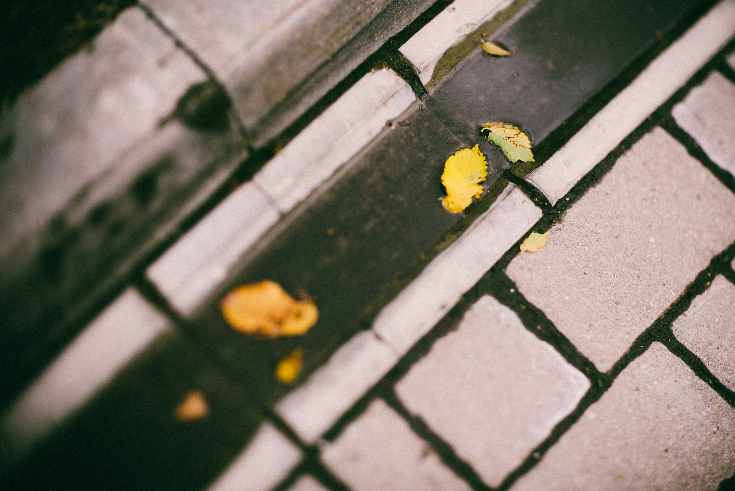 Как мы Ясю c Максимом крестили. Ksenia Marchand/ Lifestyle фотограф в Париже