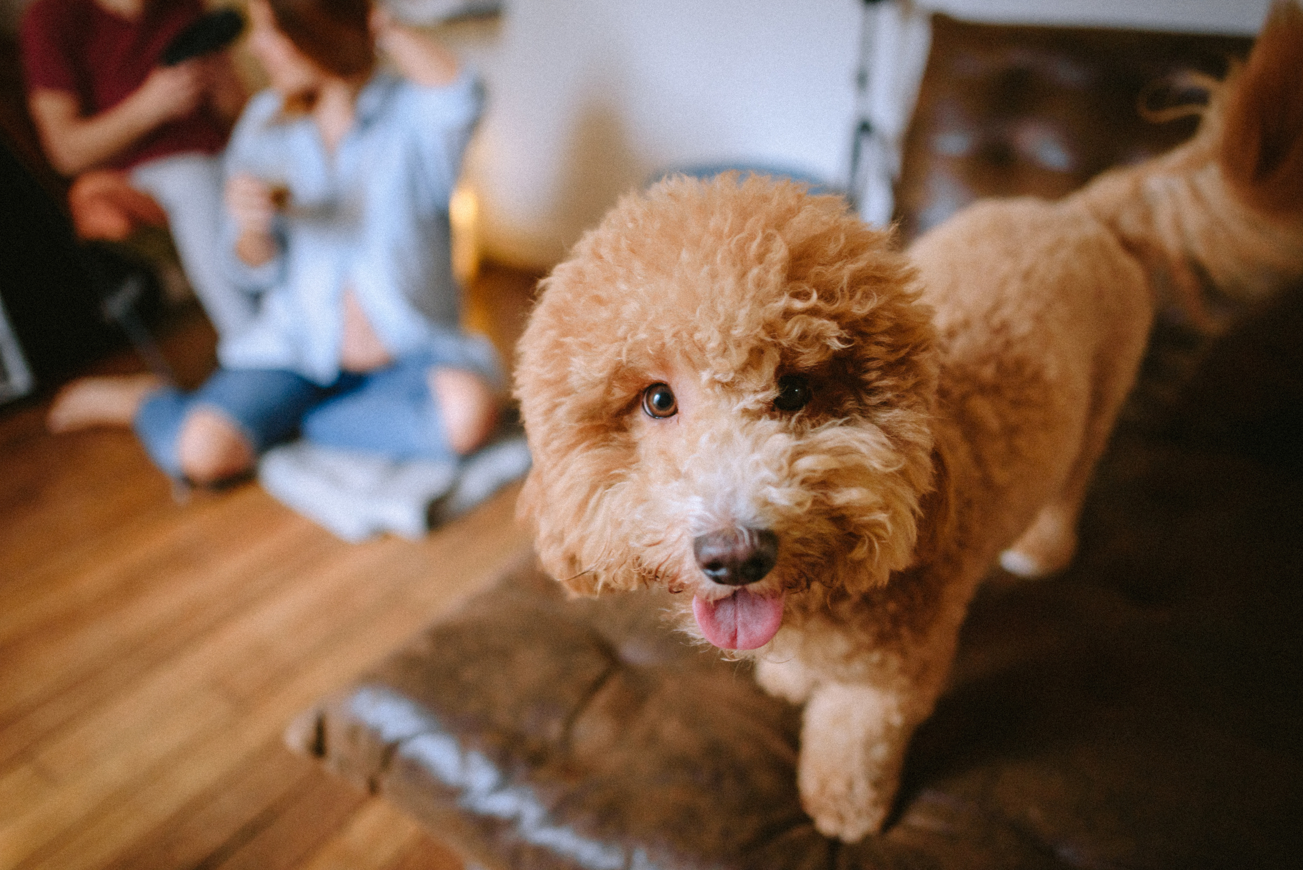 Воскресенье. Ksenia Marchand/ Lifestyle фотограф в Париже