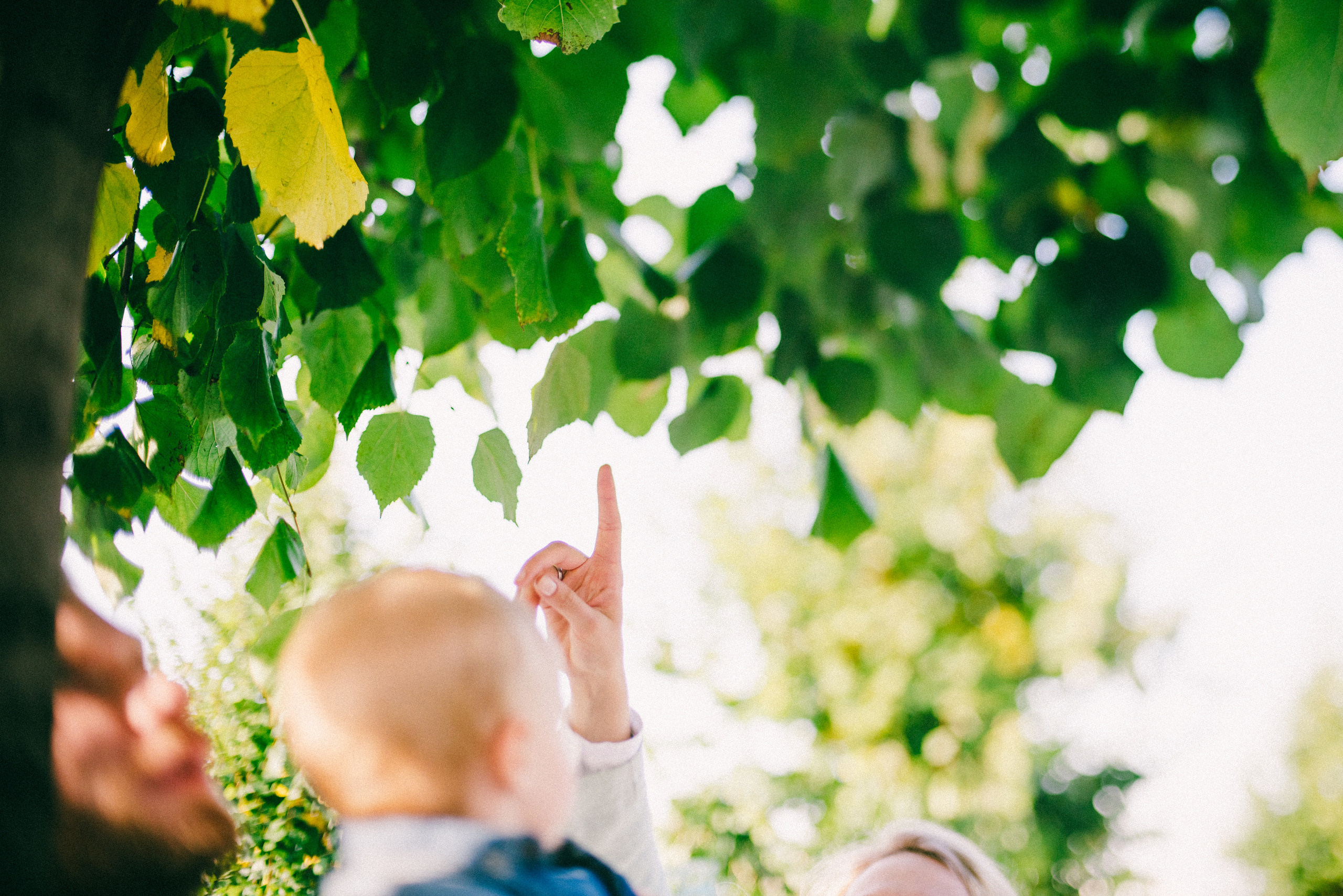 Луч солнца золотого. Ksenia Marchand/ Lifestyle фотограф в Париже