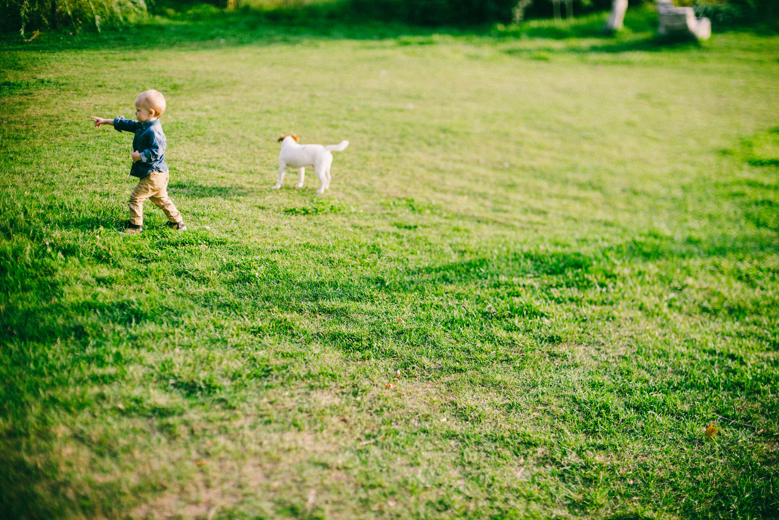 Луч солнца золотого. Ksenia Marchand/ Lifestyle фотограф в Париже