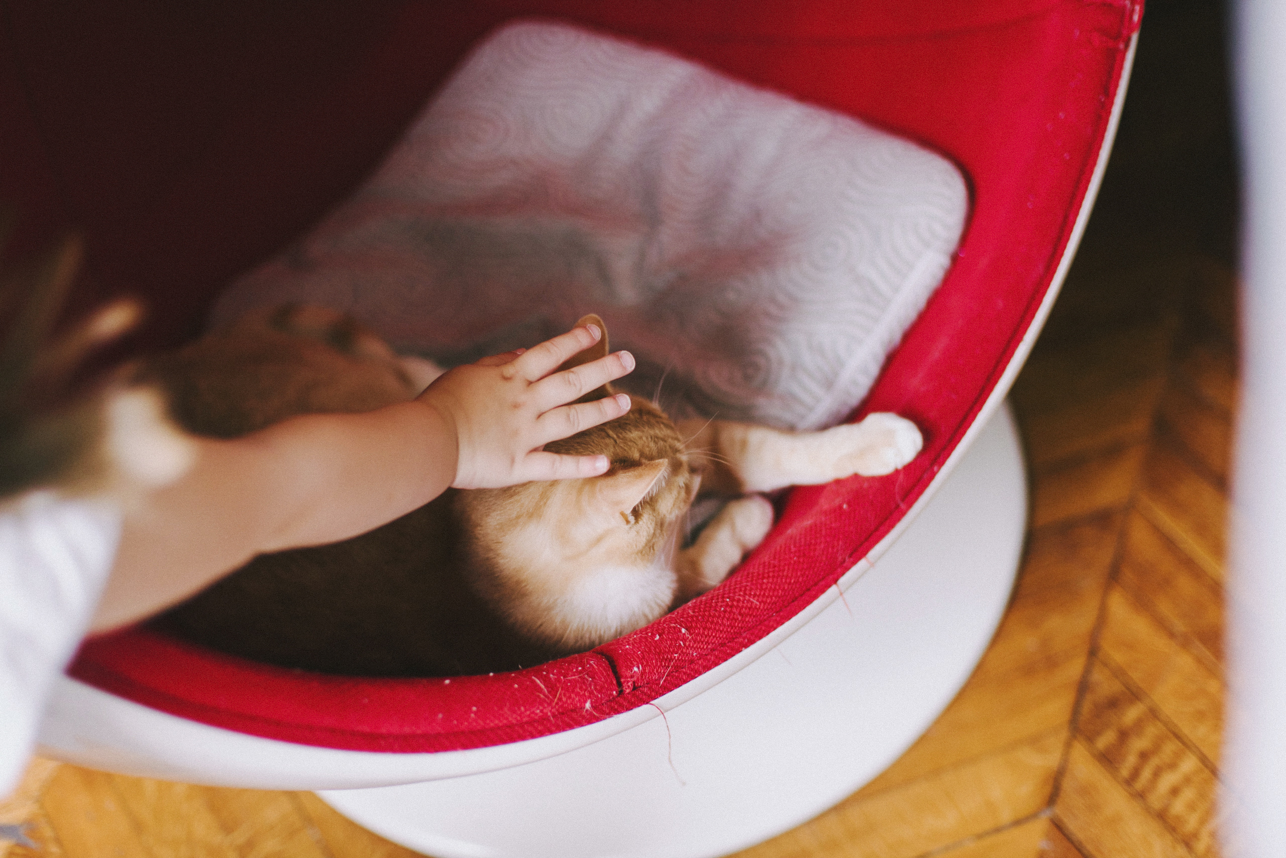 Как-то раз в Париже. Ksenia Marchand/ Lifestyle фотограф в Париже