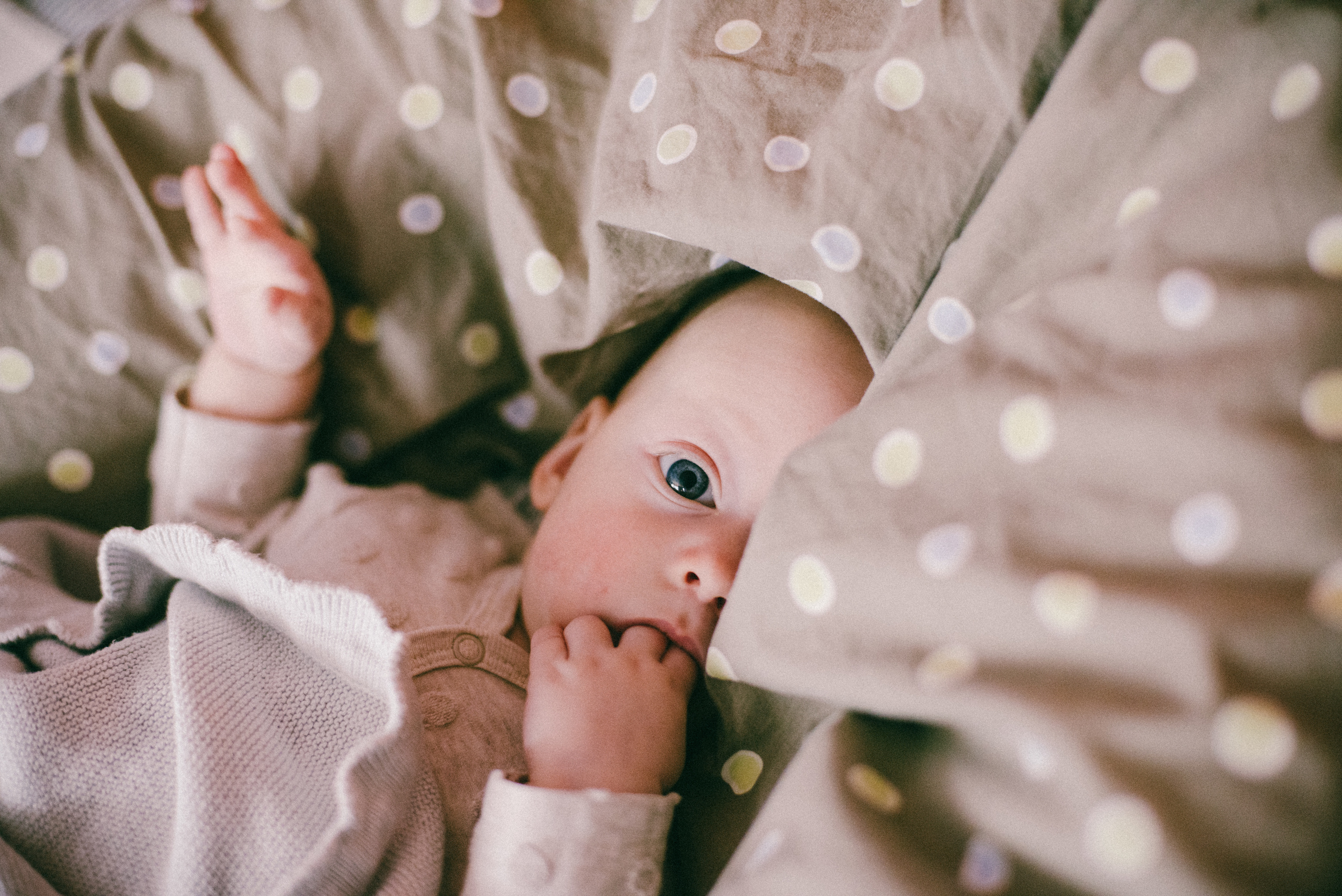 Зимний мальчик. Ksenia Marchand/ Lifestyle фотограф в Париже