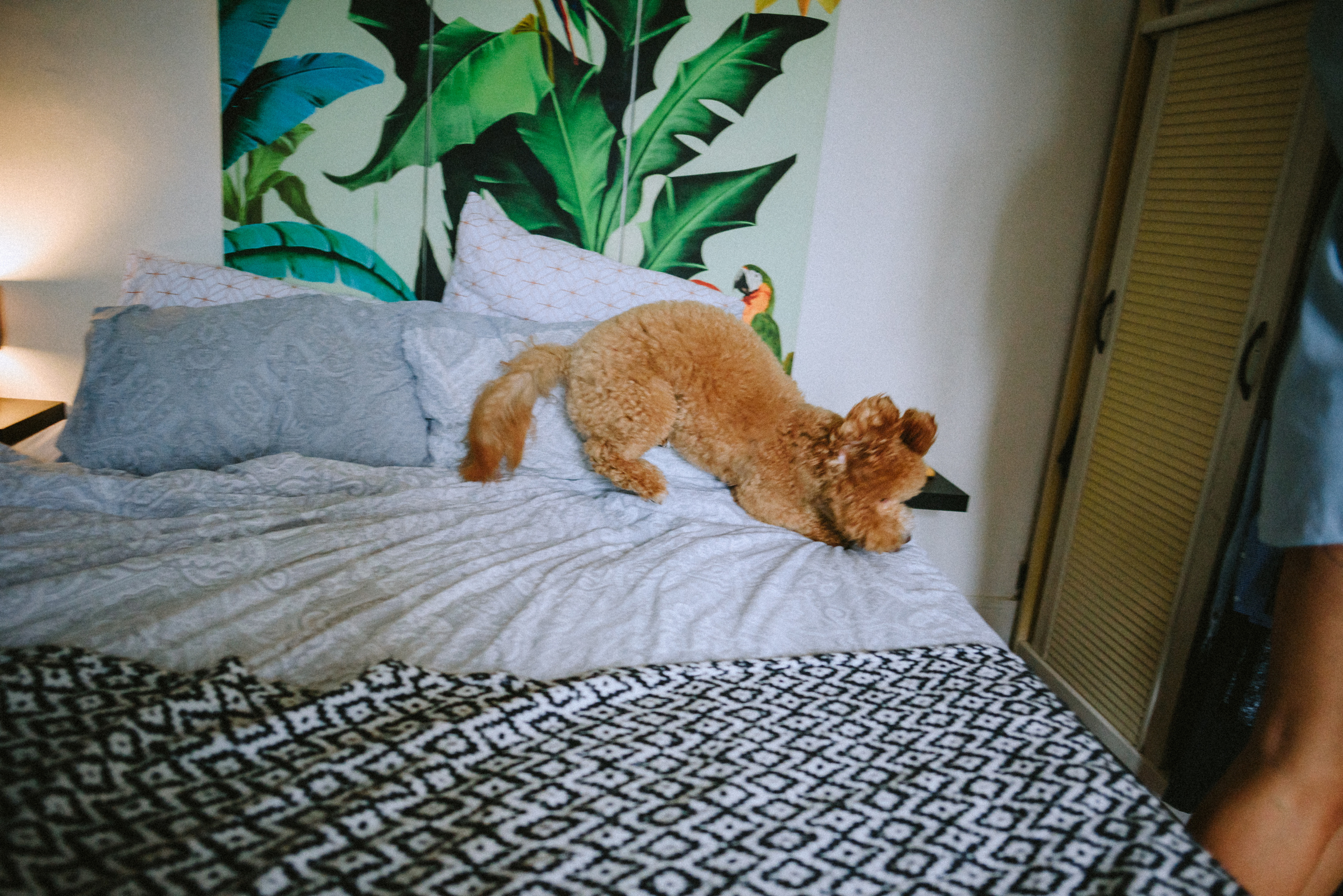 Воскресенье. Ksenia Marchand/ Lifestyle фотограф в Париже