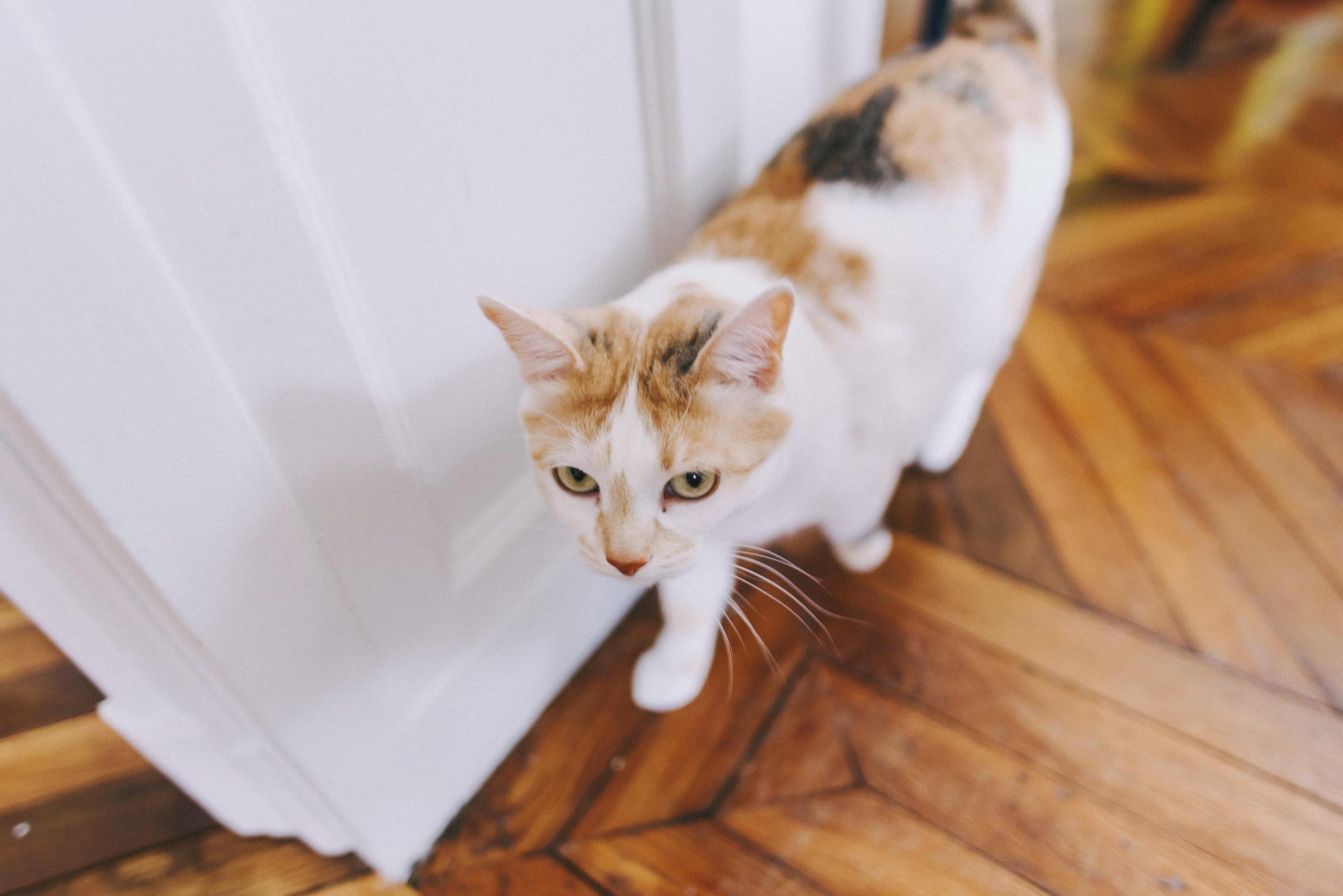 Как-то раз в Париже. Ksenia Marchand/ Lifestyle фотограф в Париже