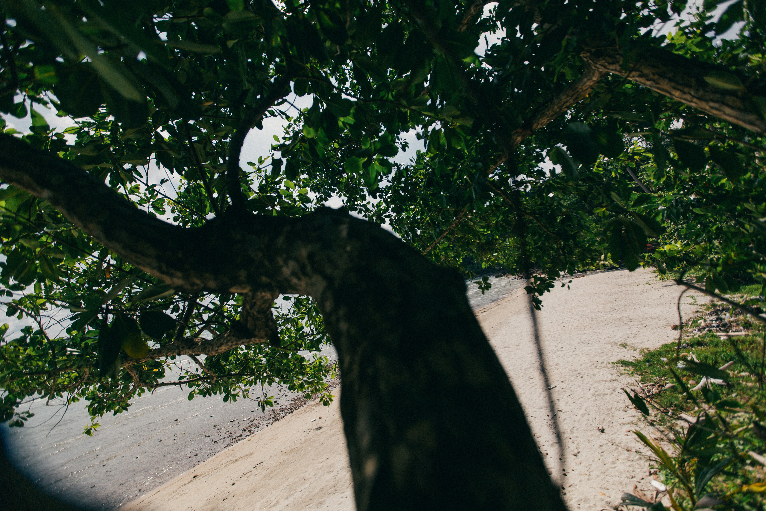 Маленький Робинзон. Ksenia Marchand/ Lifestyle фотограф в Париже