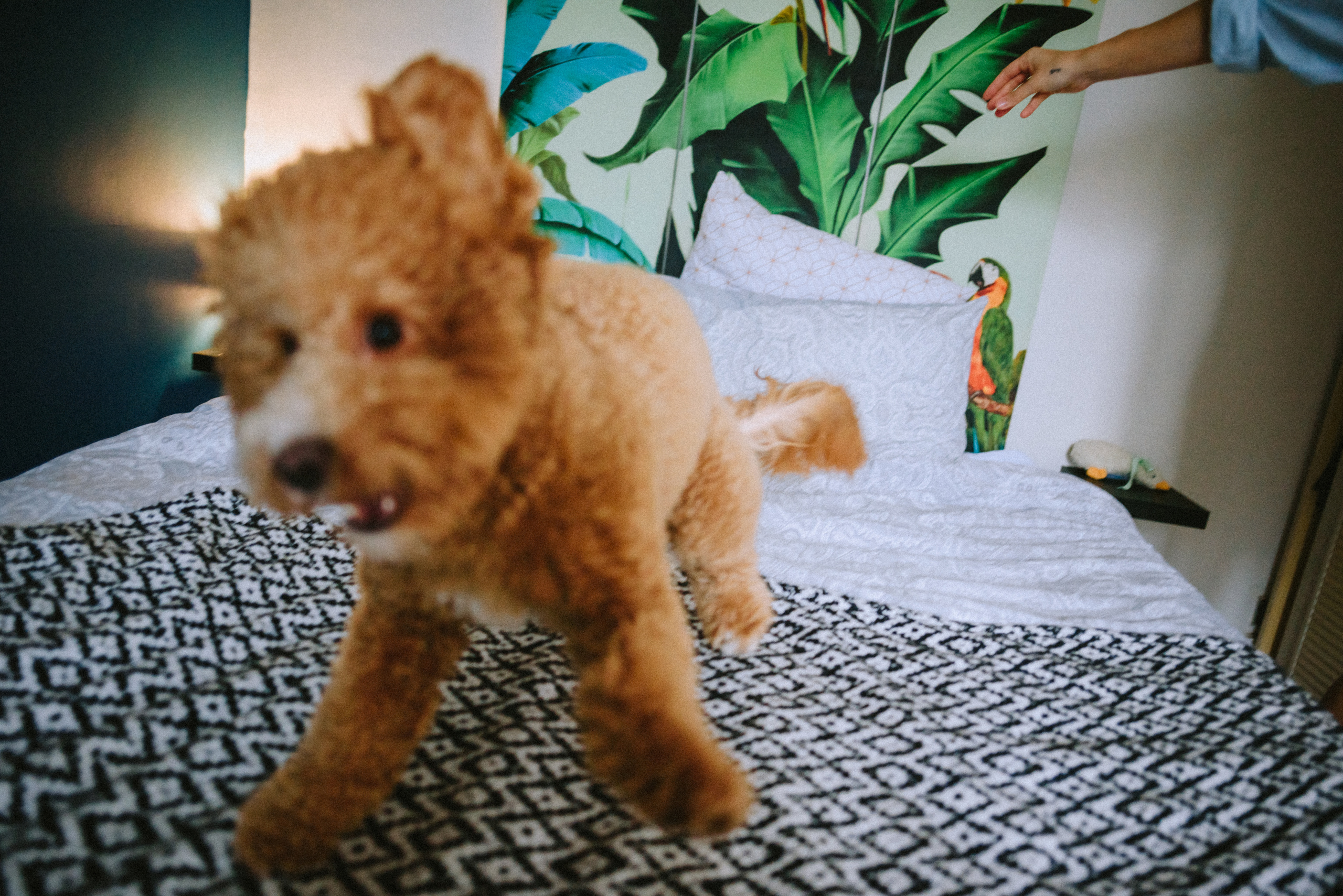 Воскресенье. Ksenia Marchand/ Lifestyle фотограф в Париже