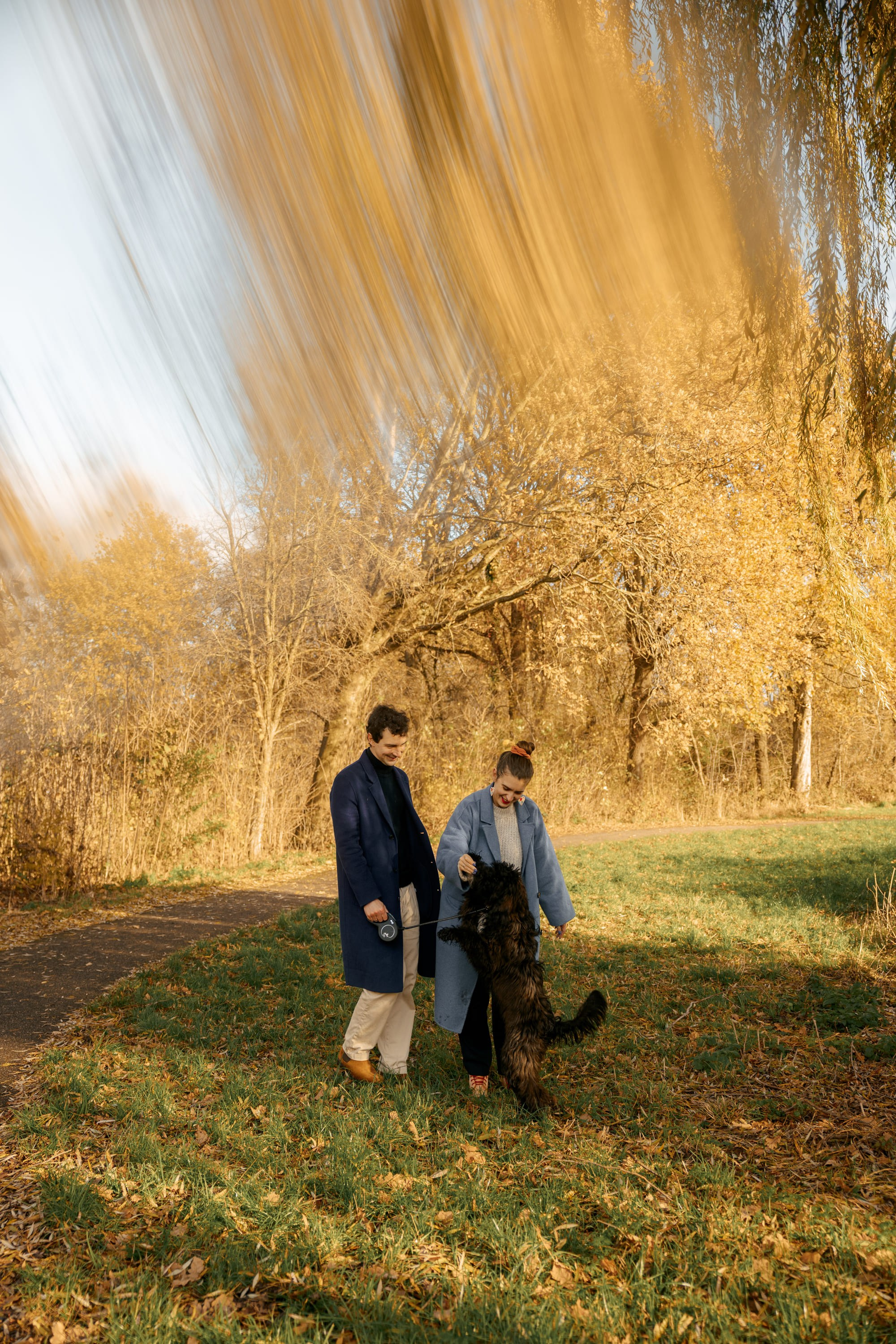 Pet Photoshoot in Spijkenisse | Rotterdam. Romantic & Soulful Photography by Natalia Olhova in Rotterdam