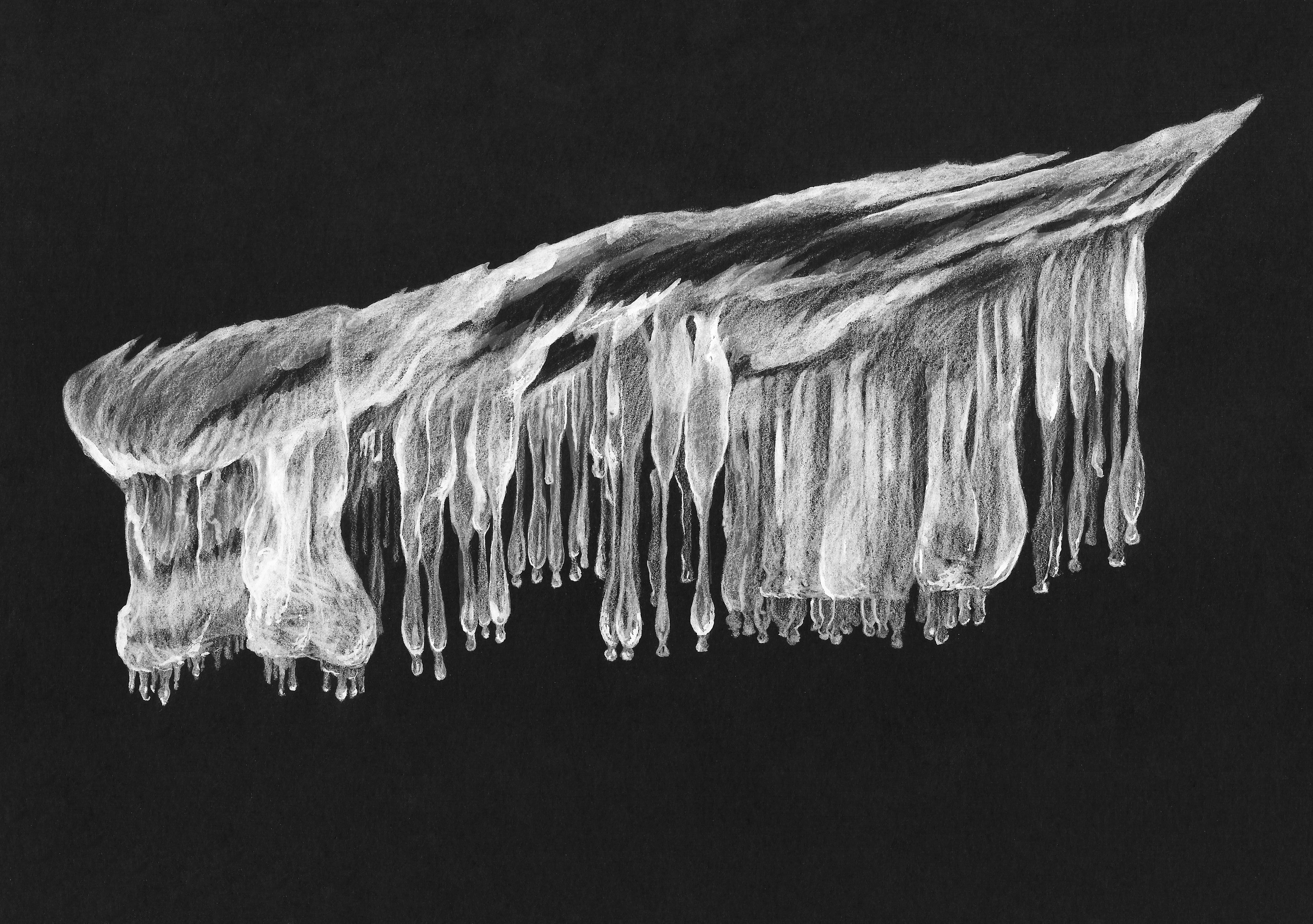 Illustations for album “Bajkał” by Piotr Malczewski. Artist, photographer, graphic designer, dreamer