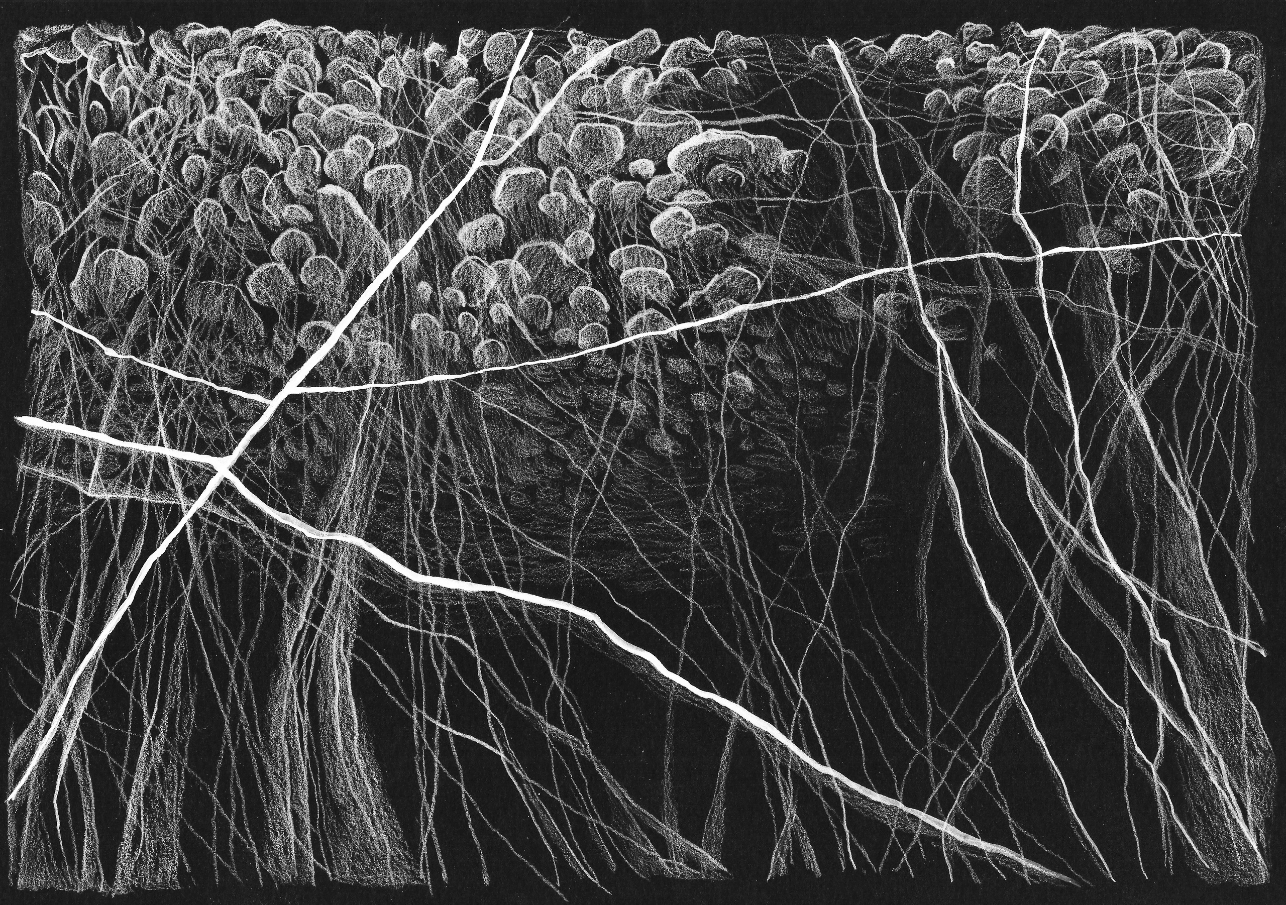 Illustations for album “Bajkał” by Piotr Malczewski. Artist, photographer, graphic designer, dreamer