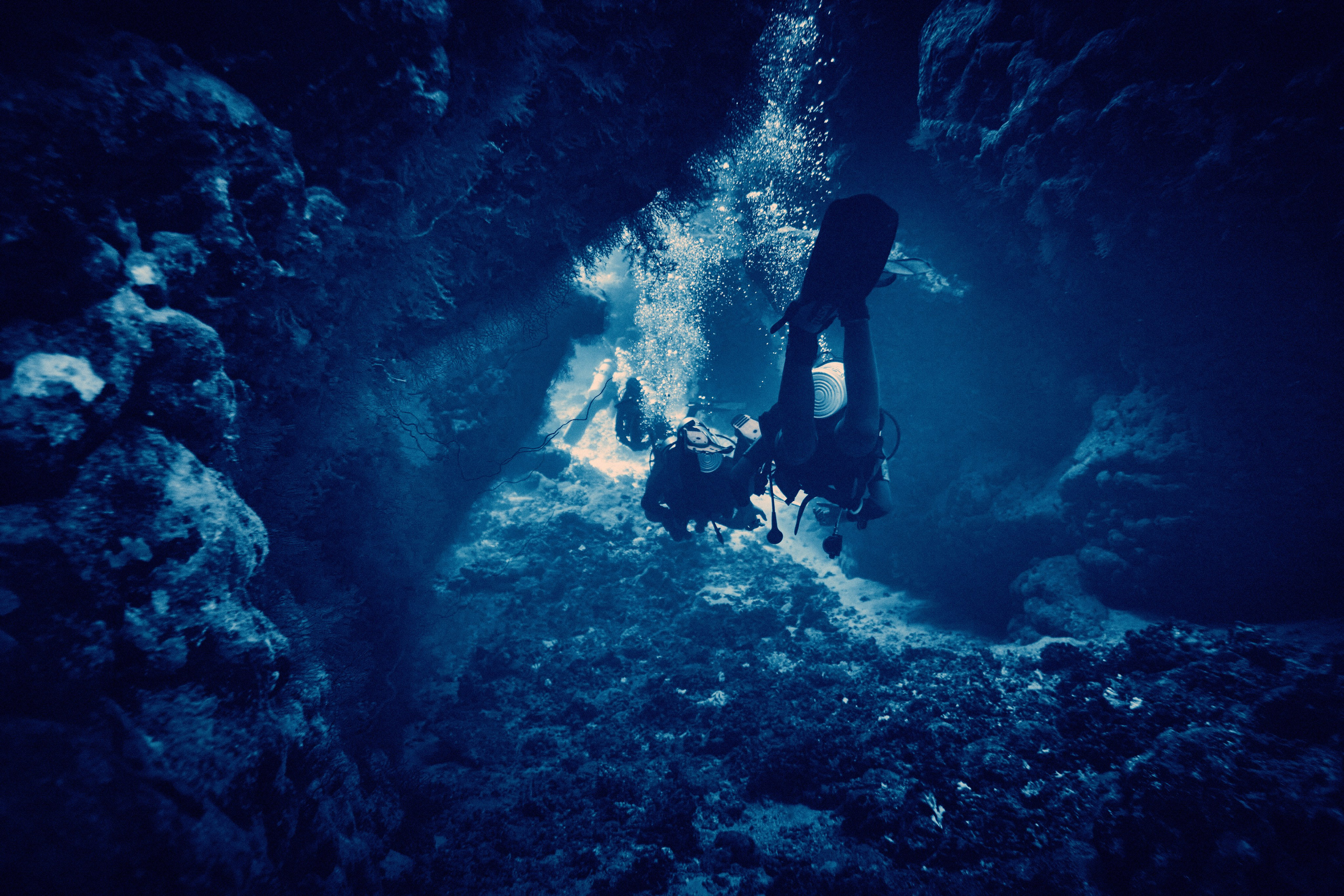 2023-11 - Diving Safari Deep South Egypt. Andriej Szypilow — Photography & Videography