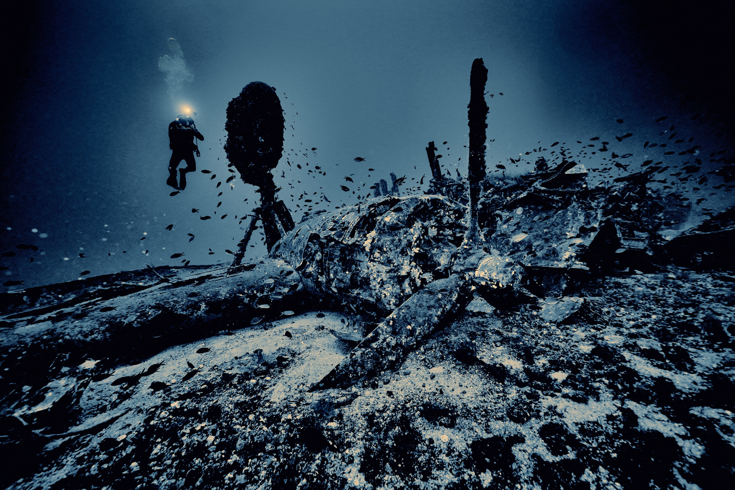 Wrak samolotu B-24 Liberator. Andriej Szypilow - Fotografia & Wideografia