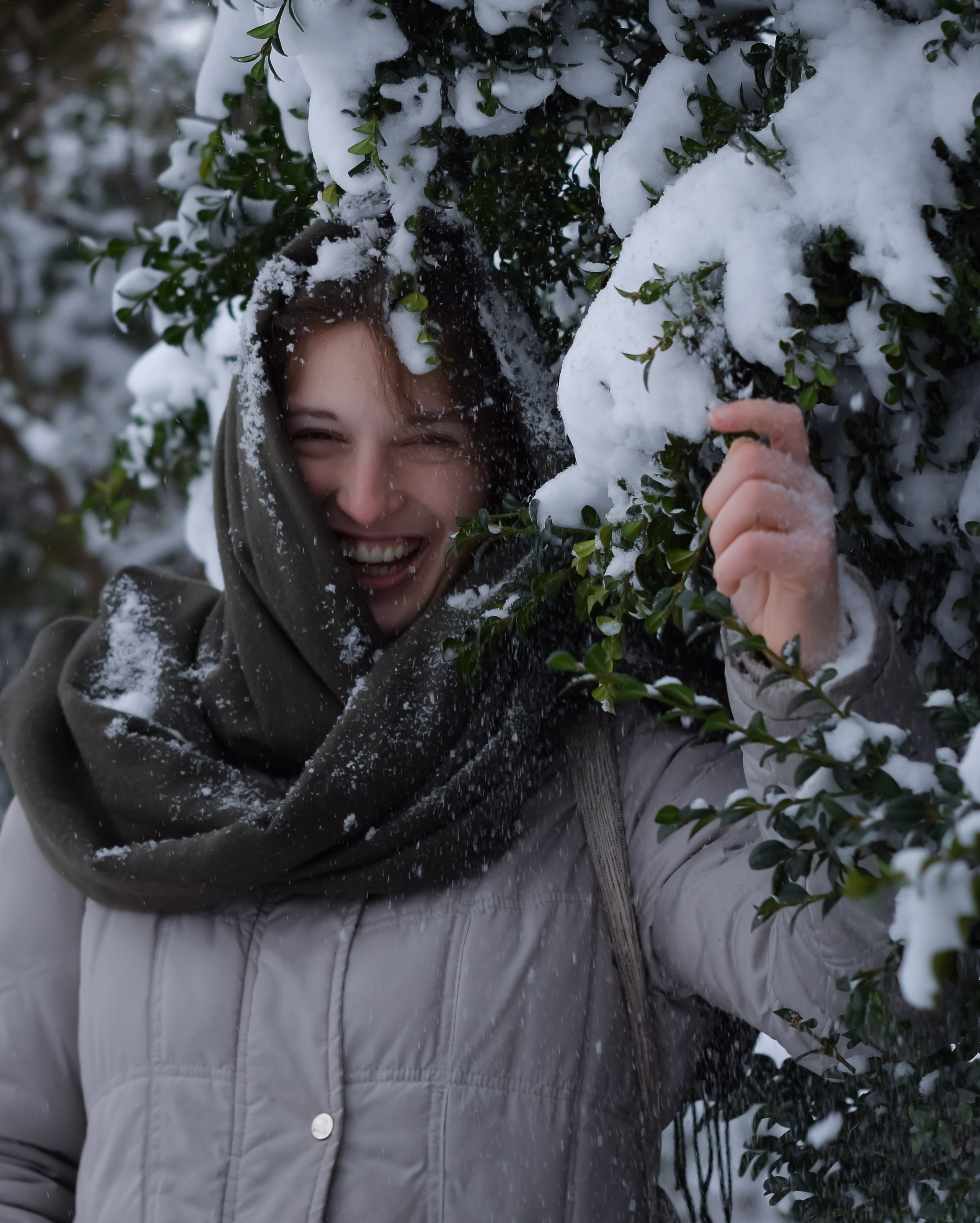 Первый снег в Нови-Саде…. Виктория Федосеенко, фотограф в Сербии