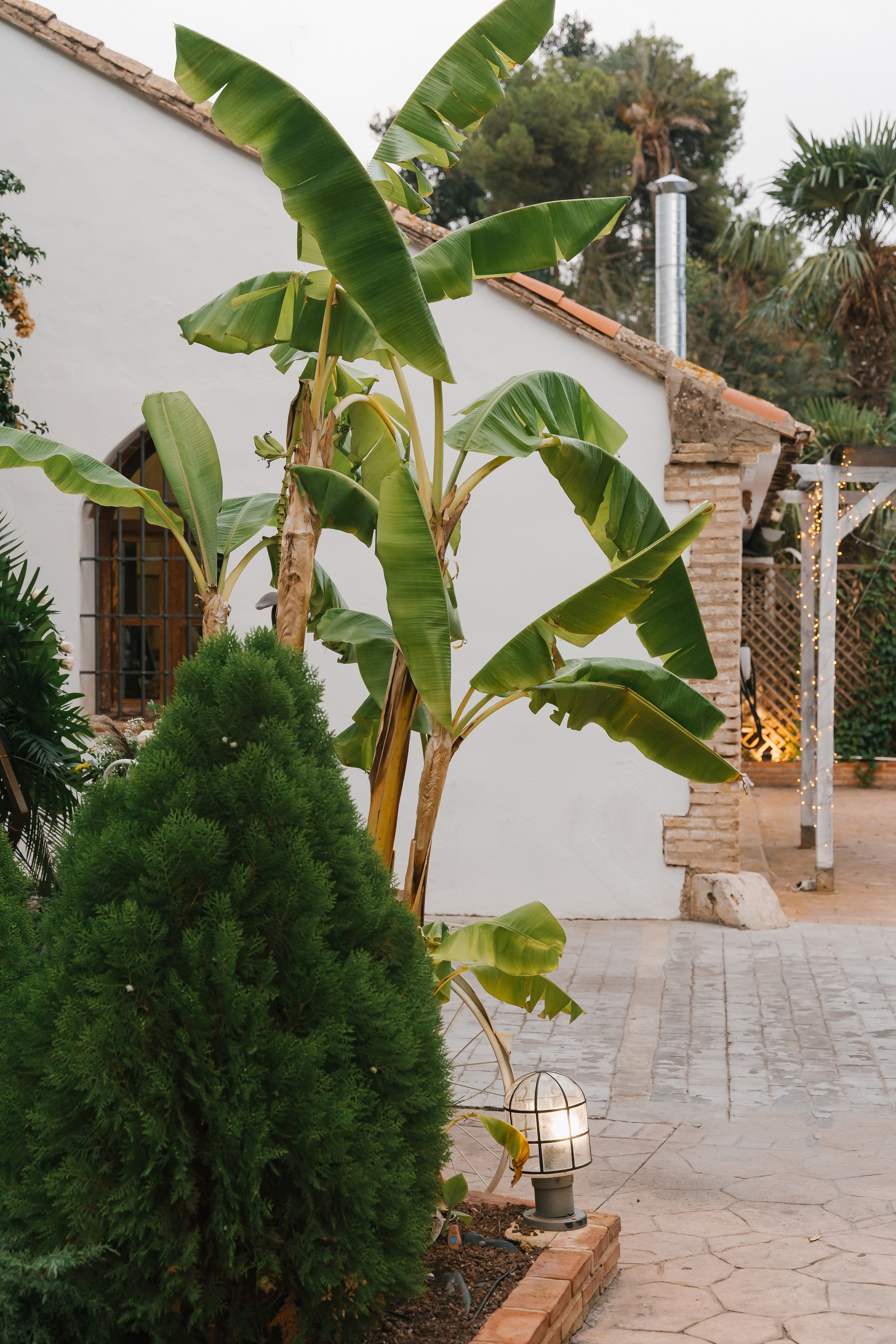 J+C. Fotógrafa de bodas y familias en España, Valencia: Nadia ProFoto