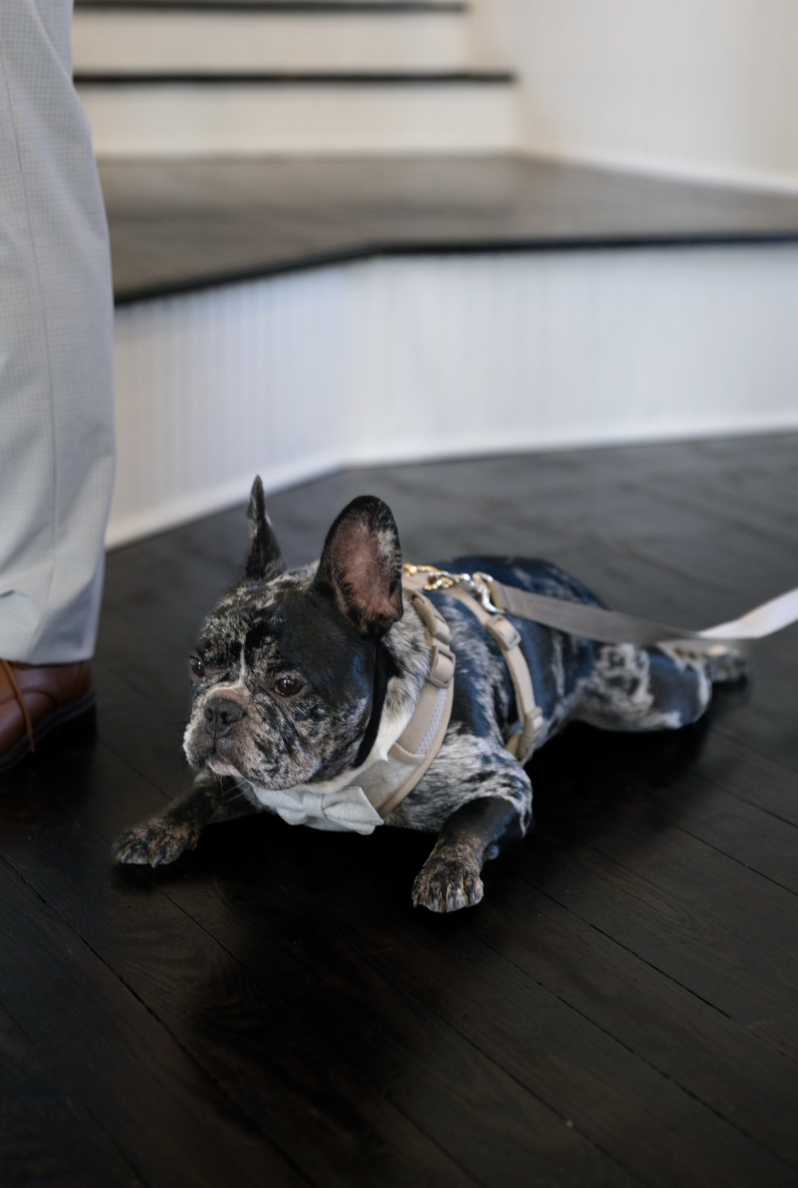 Micro wedding of Leslie and Garrick. Winter Park. Photographer Anastasia Nagibina