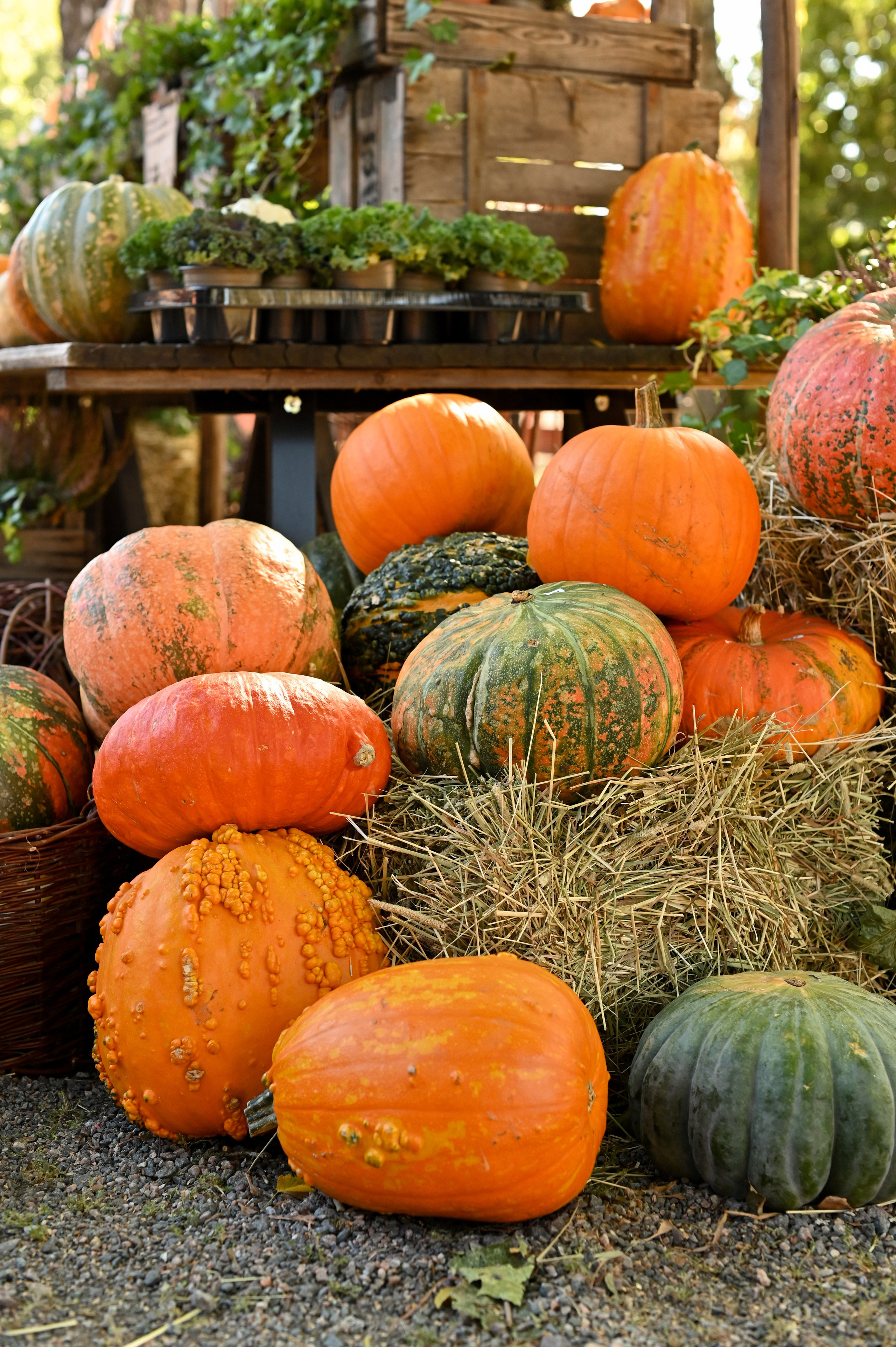 Предметная съемка. Детский и семейный фотограф в финляндии дина пулкка. контент фотограф