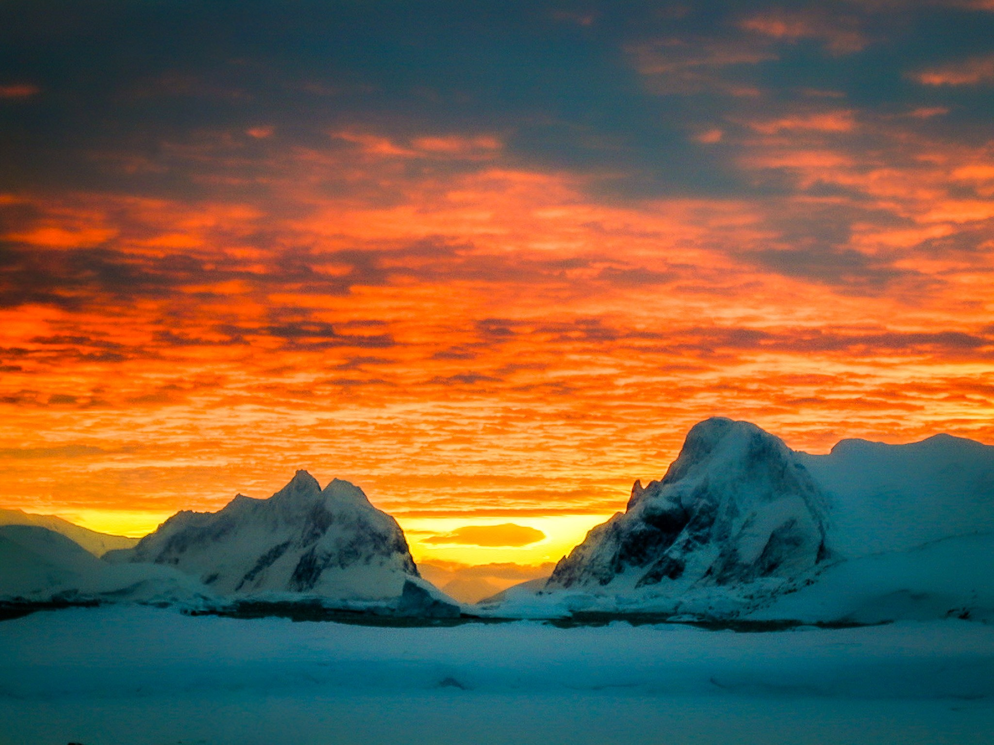 ANTARCTICA / 2004. Reportage concert portrait photography in the San Francisco Bay Area