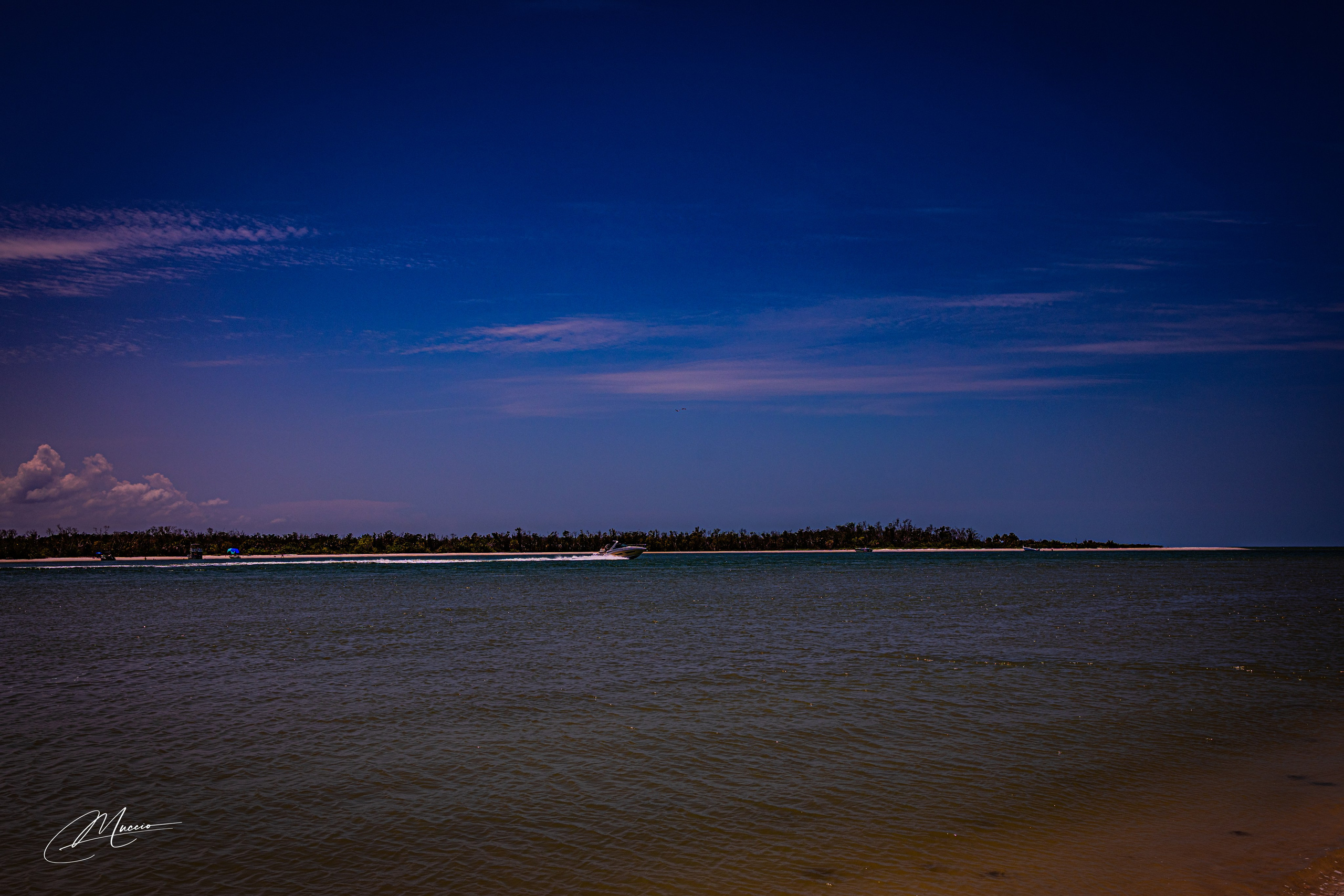 Florida Man — Fort Myers Walkabout. Out and About 239