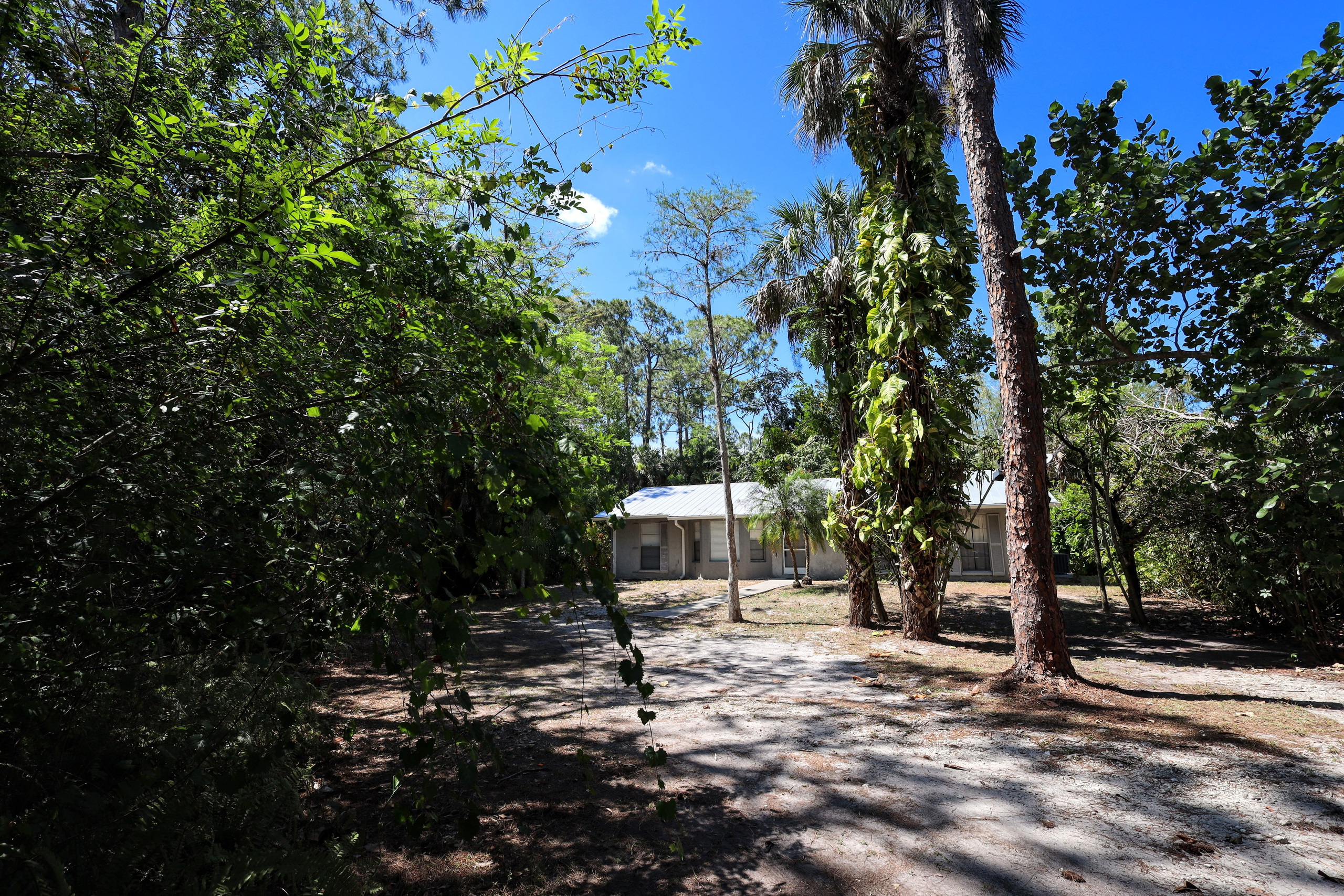 Sample D. Out and About 239