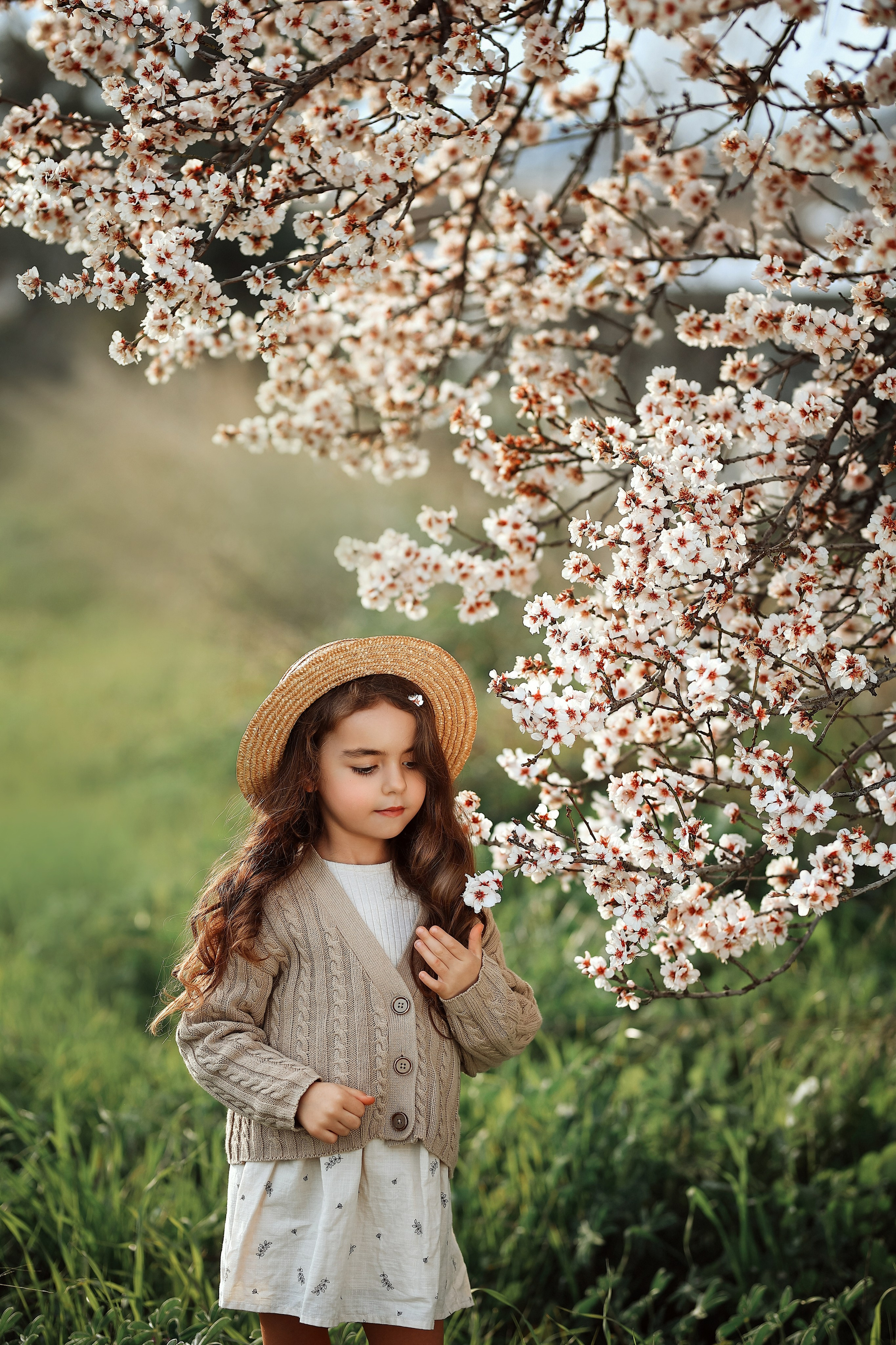 Фотосессия в цветущем миндале. Фотограф в Турции, Анталии, Кемере, Белеке, Сиде, Каше, Калкане, Фетхие