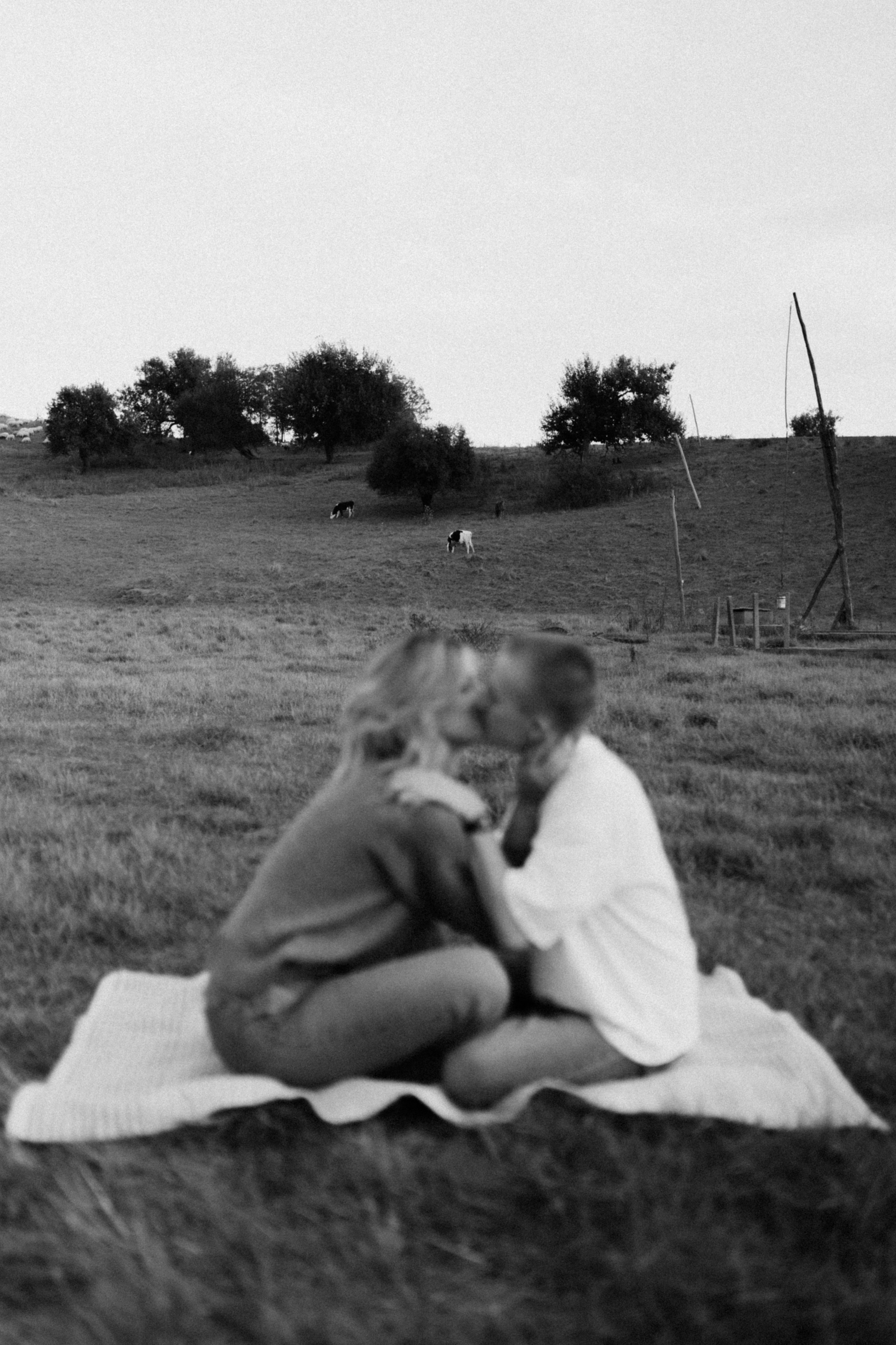 Emily and Filip’s Love Gallery. Wedding photographer and videographer based in Timisoara, Romania