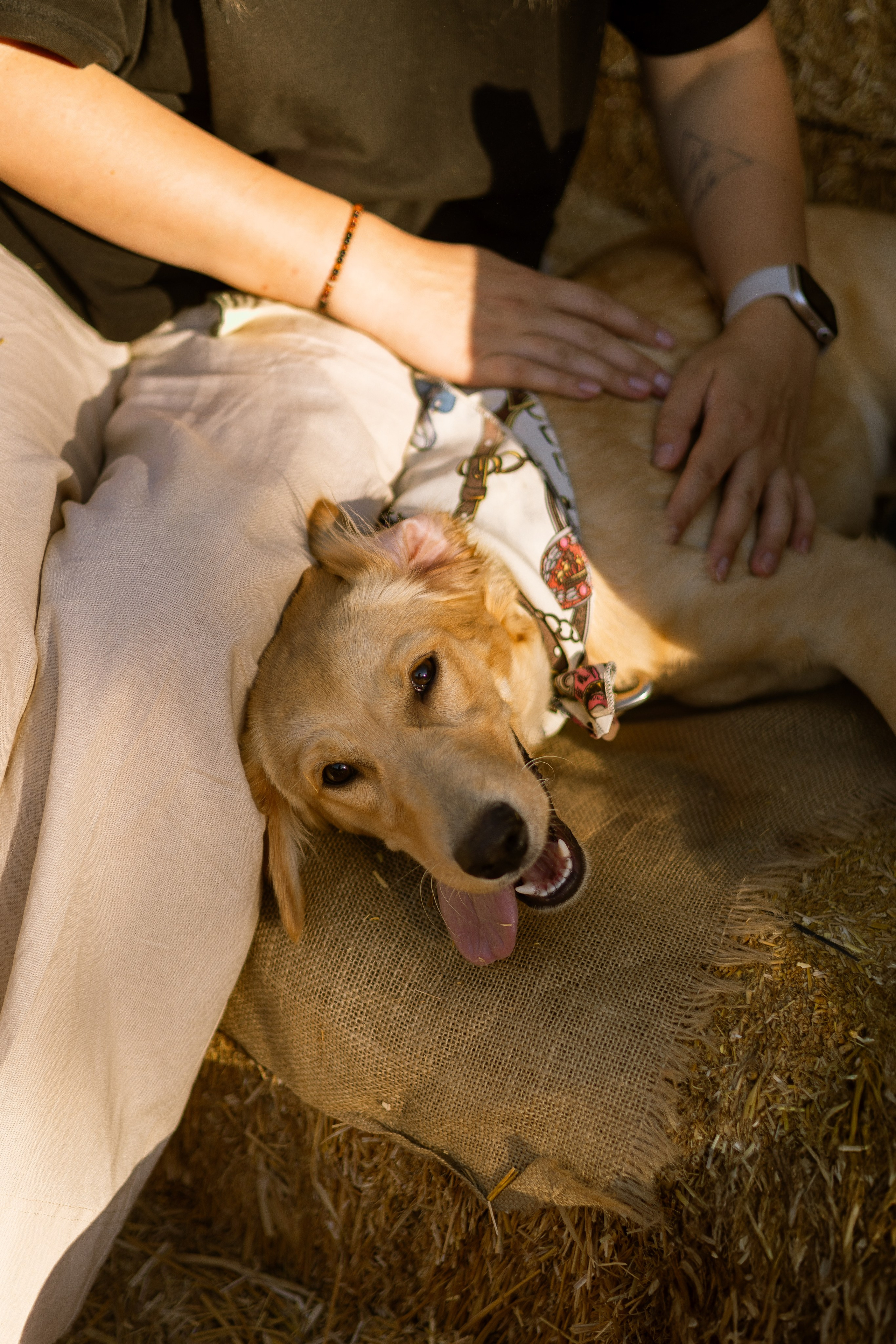 Julia, Sergey & Tessa at the Pumpkin Patch. Photographer in Los Angeles. Julia Ishmuratova