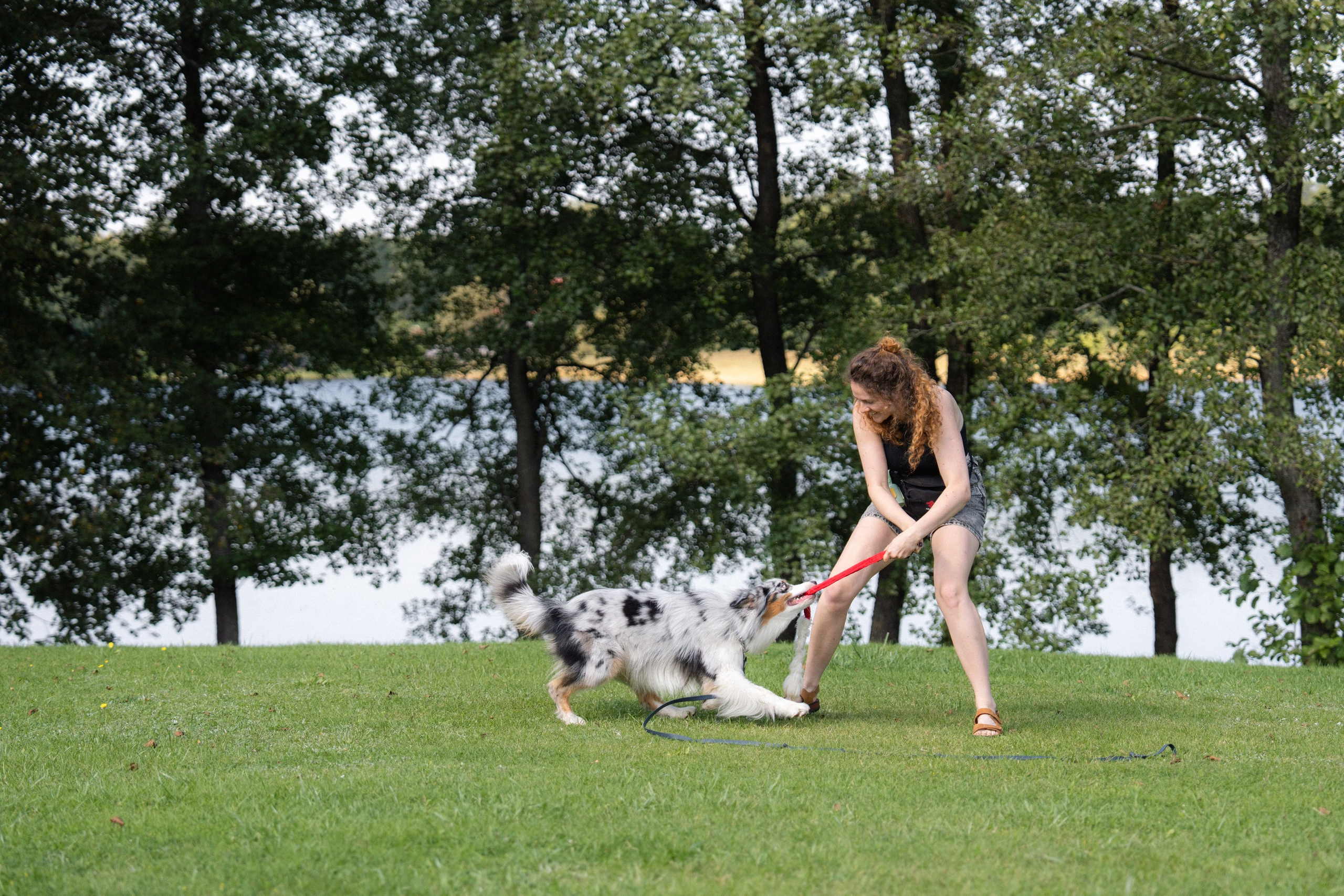 Heppi Dogo fest 2025. Vita Klimaševska ○ Fluffy Soulmate Photography