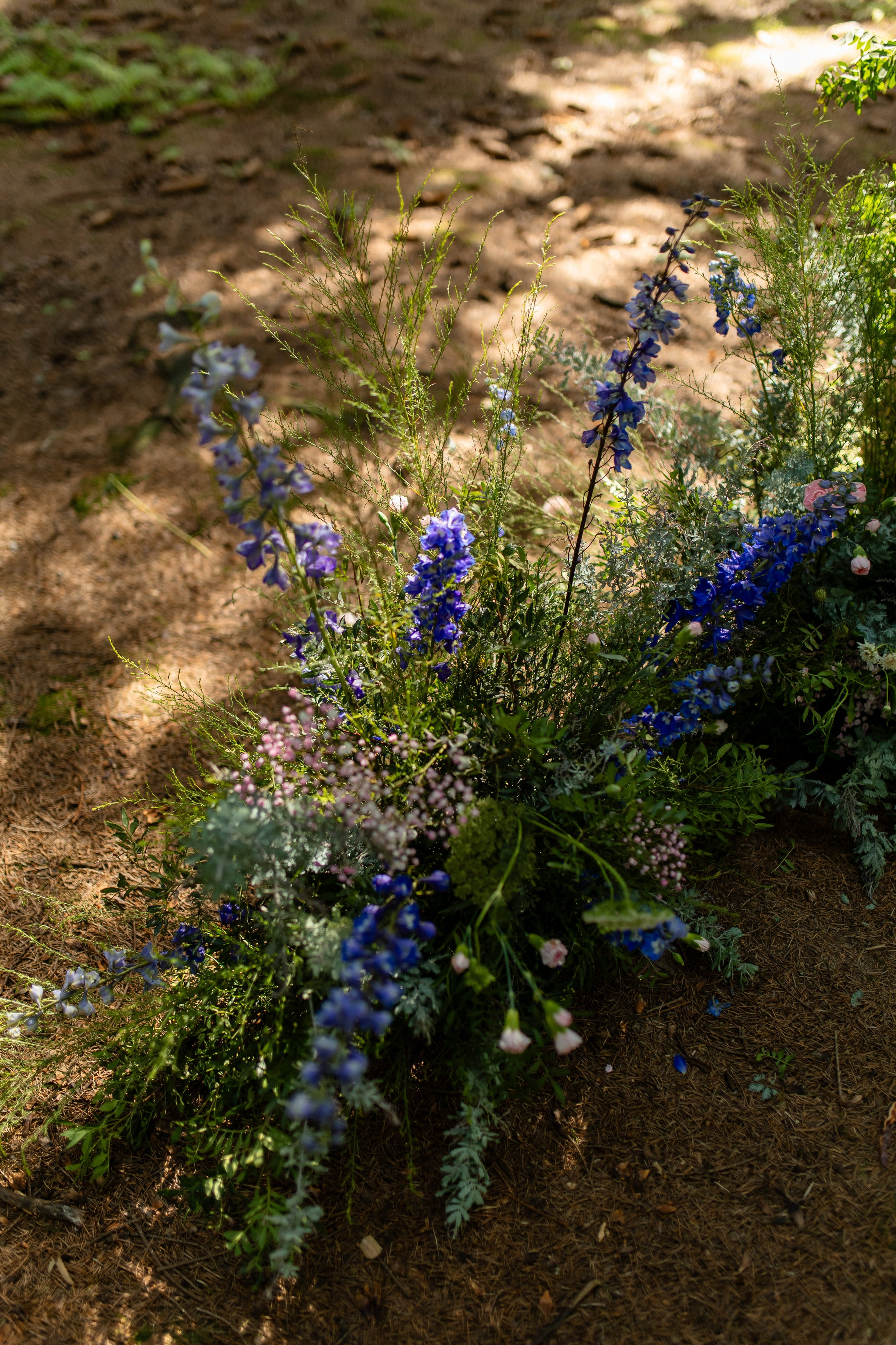 Назар + Олена. Весільний, сімейний фотограф Варшава