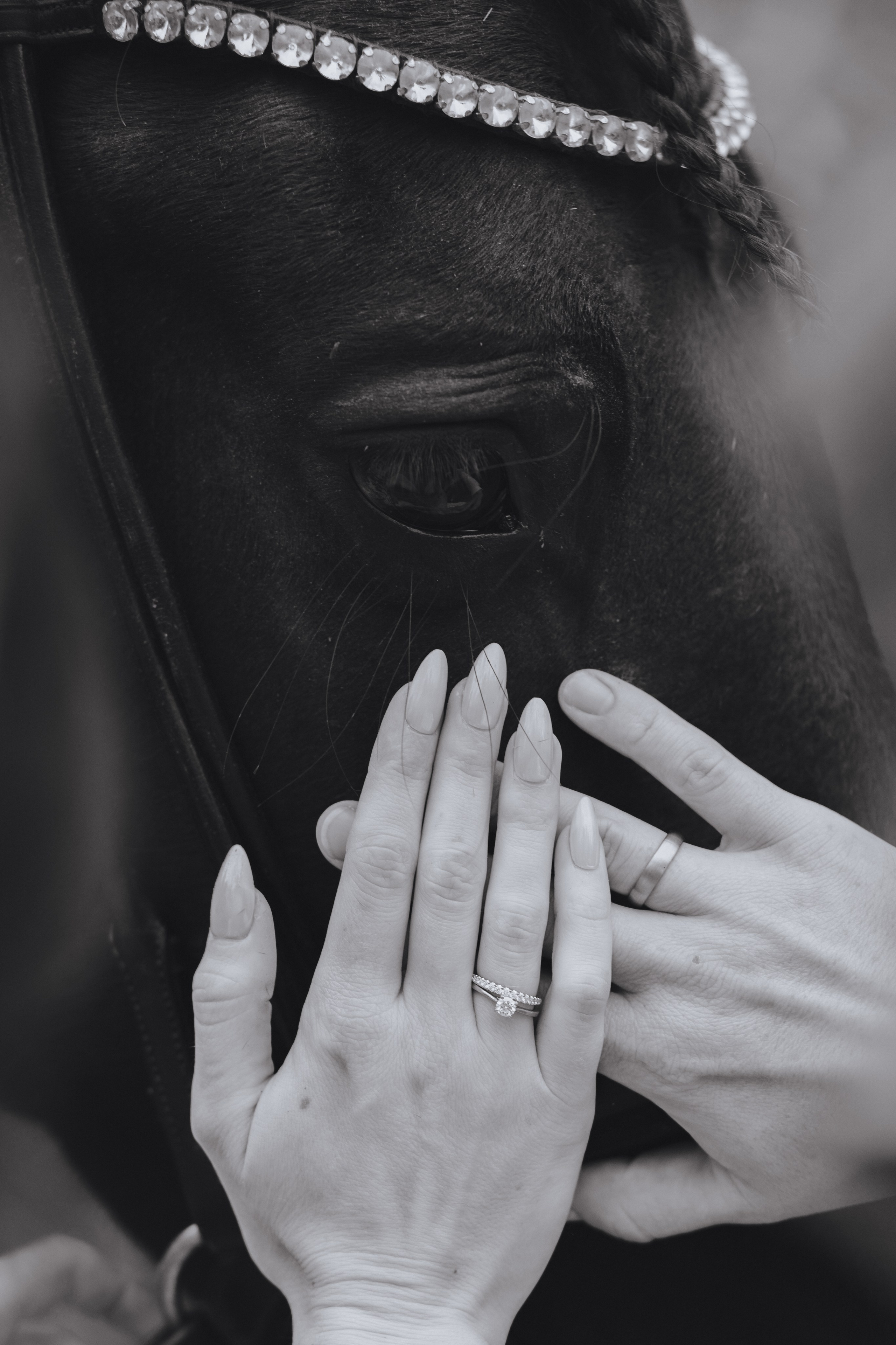 Die Hände des Brautpaares liegen sanft auf der Schnauze des Pferdes, nahe am Auge, und die Eheringe sind an ihren Händen sichtbar.