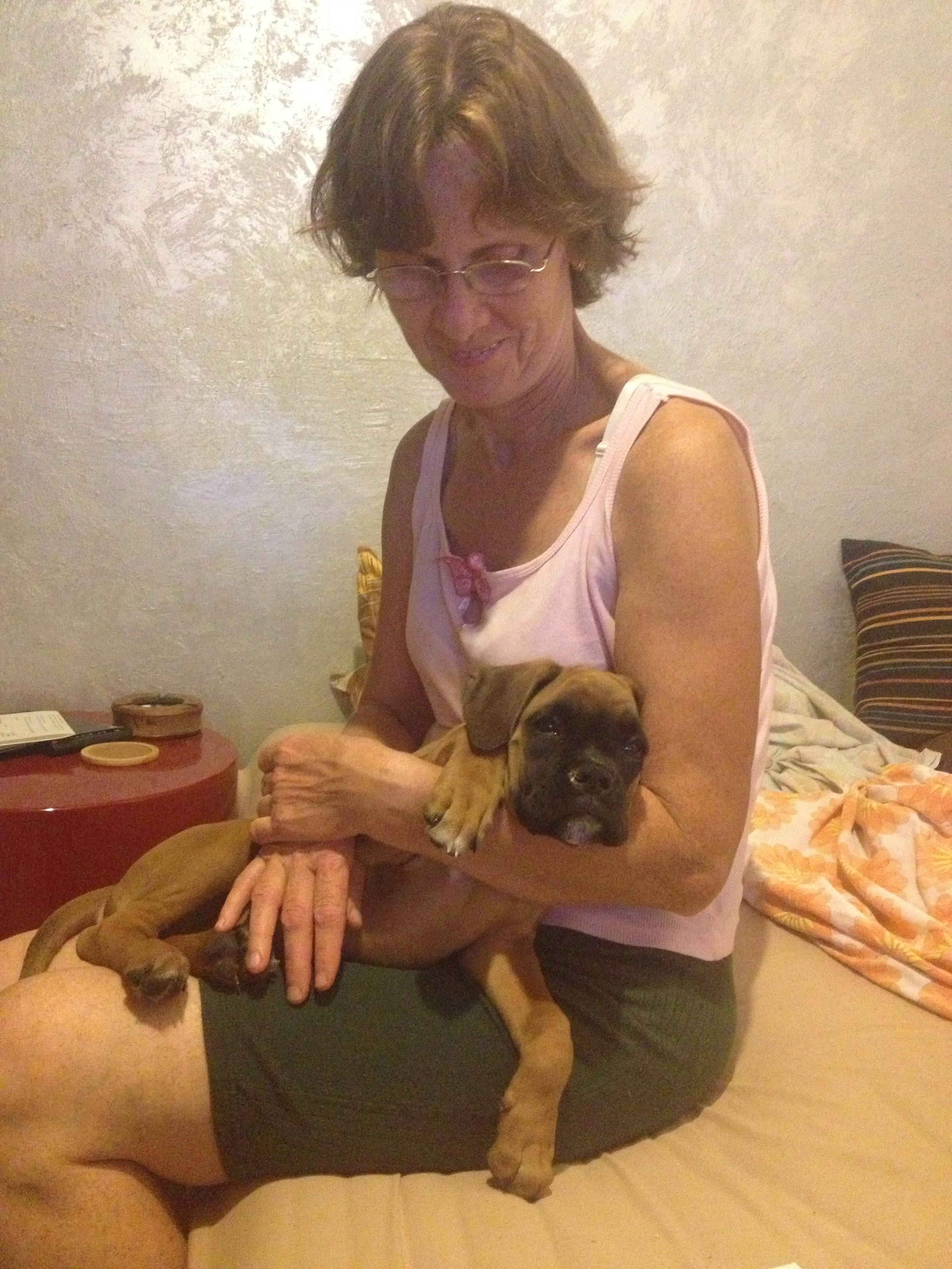 My ״Star״ Boxer Dog