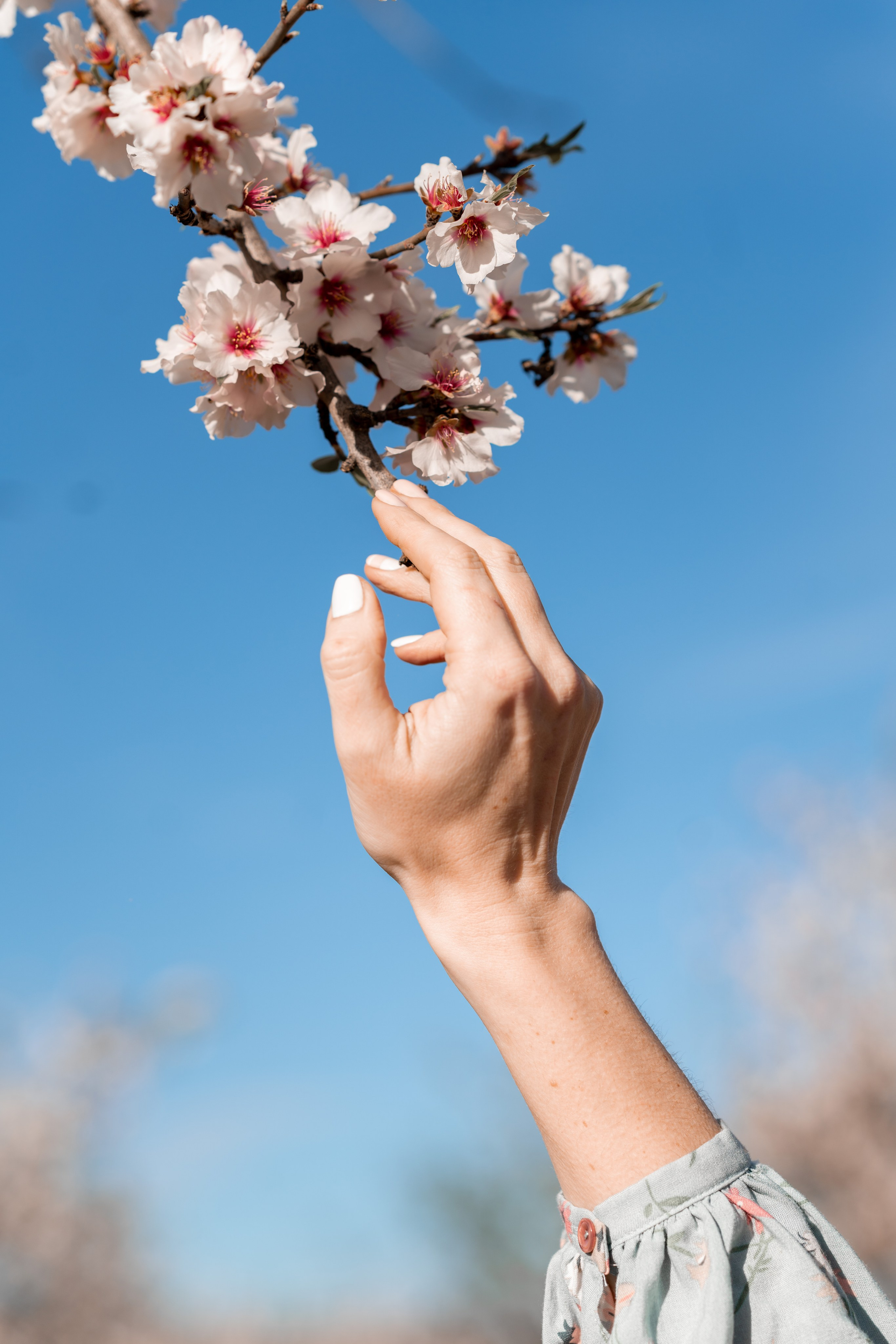 El florecer de los almendros. Fotografía Infantil, Familiar y Personal en Benidorm y Costa Blanca Anastasiya López