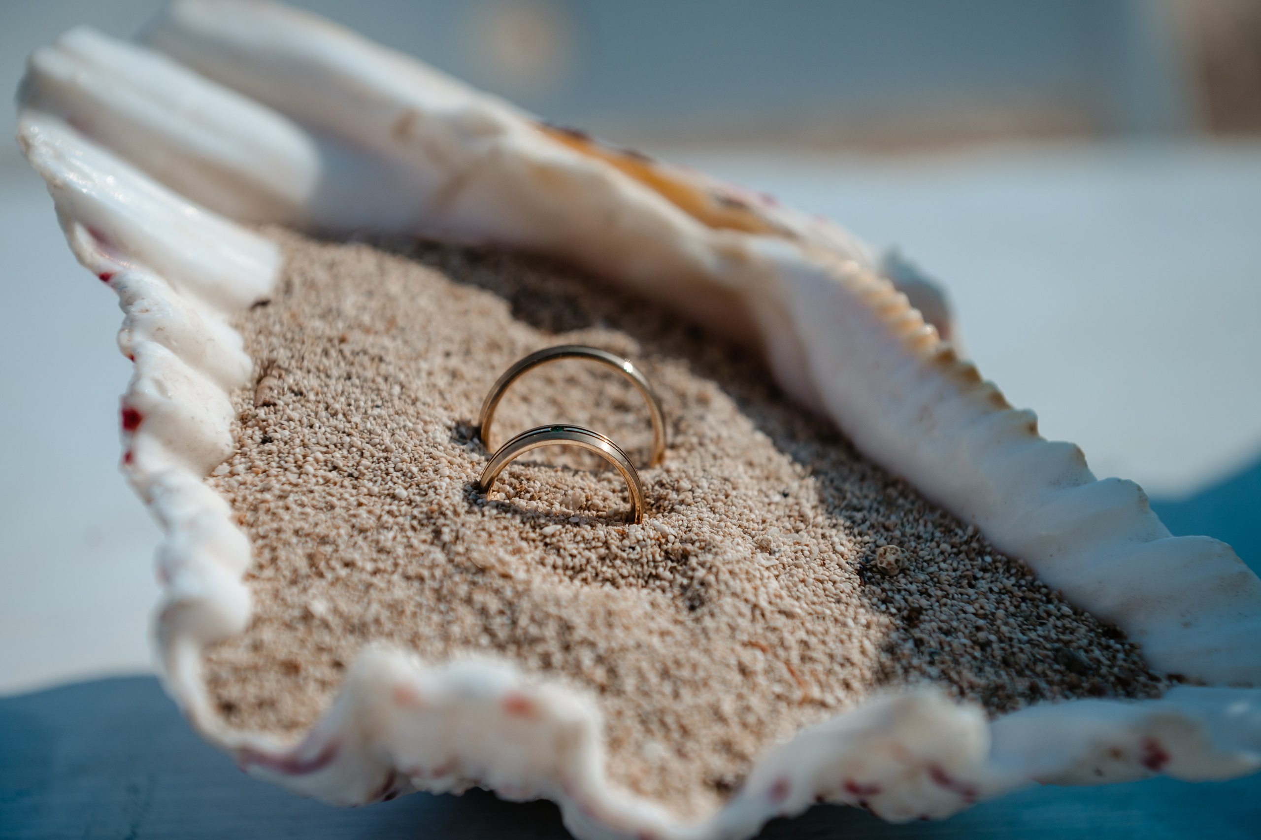 Ceremony sirens beach. AdrianOltean.wfolio.pro