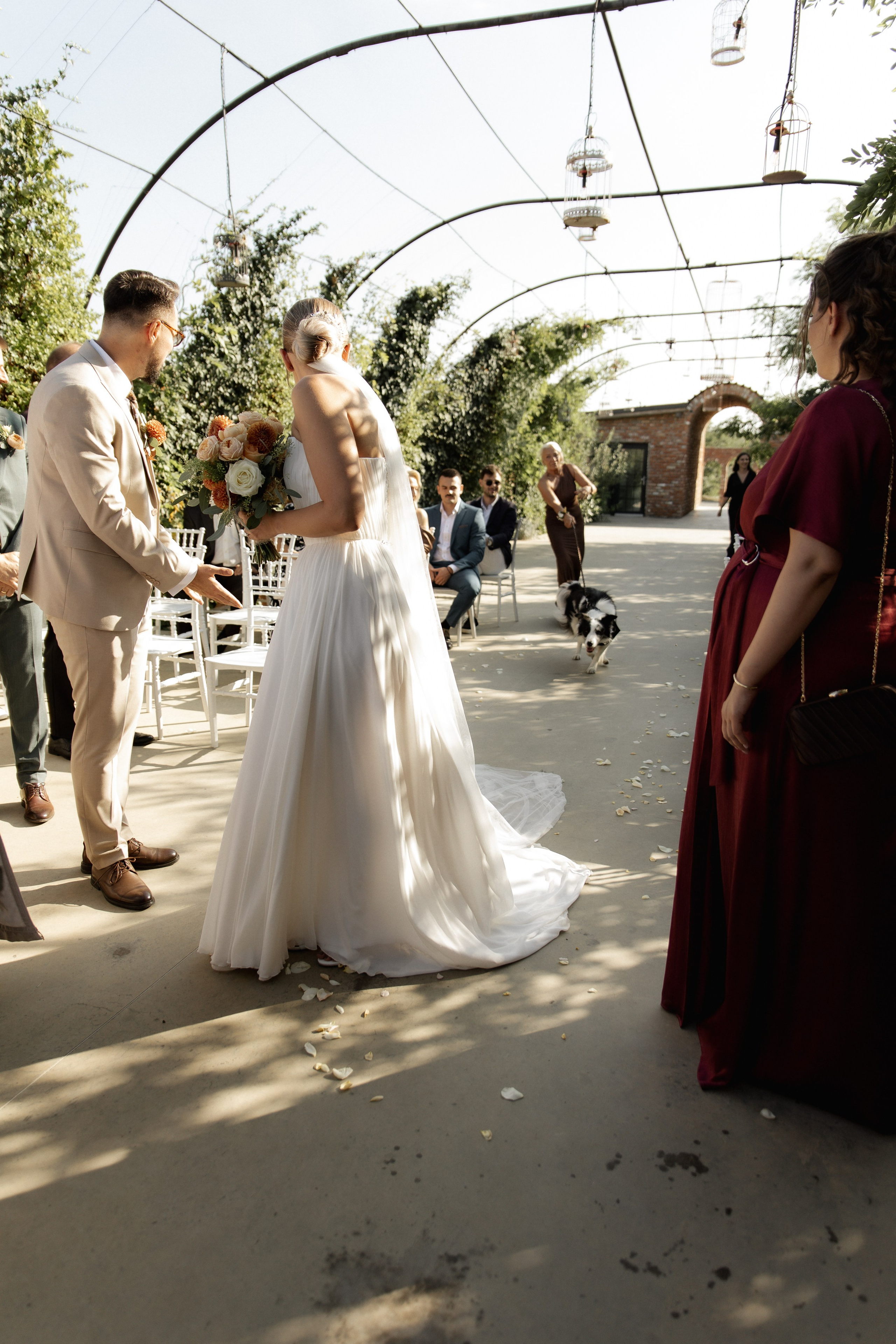 Wedding at Province Timisoara | Cristina & Robert. Wedding photographer and videographer based in Timisoara, Romania