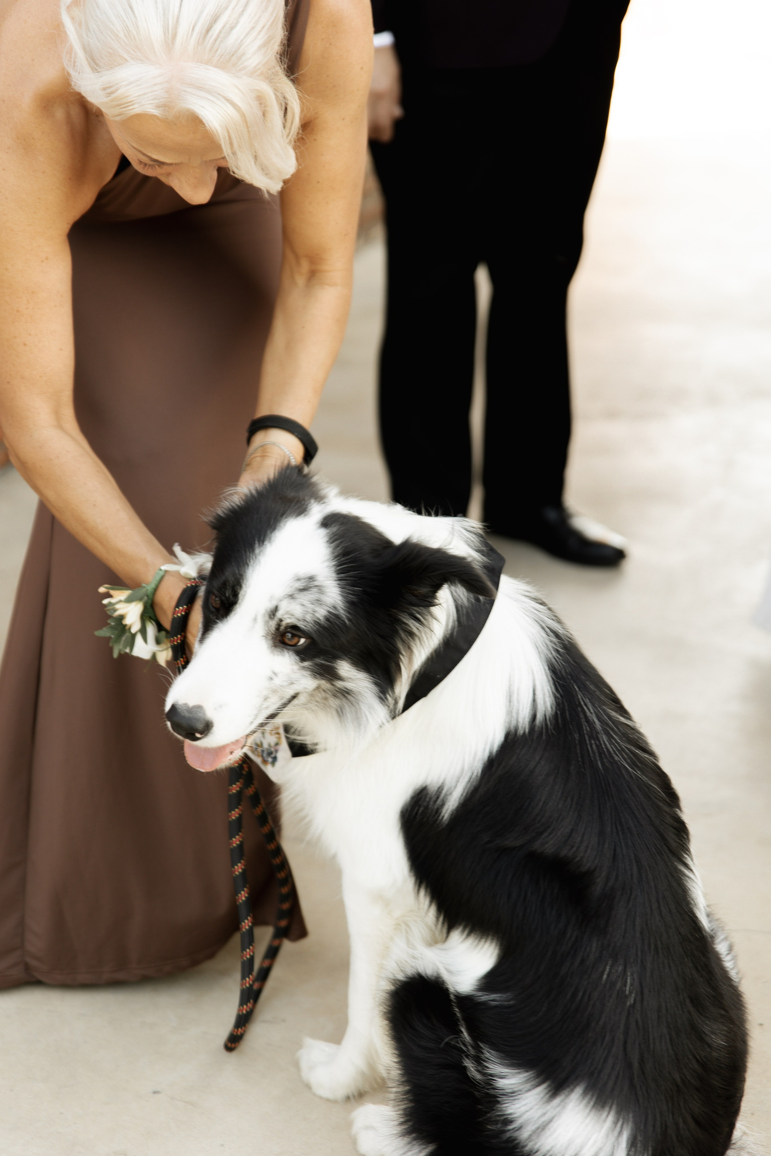 Wedding at Province Timisoara | Cristina & Robert. Wedding photographer and videographer based in Timisoara, Romania