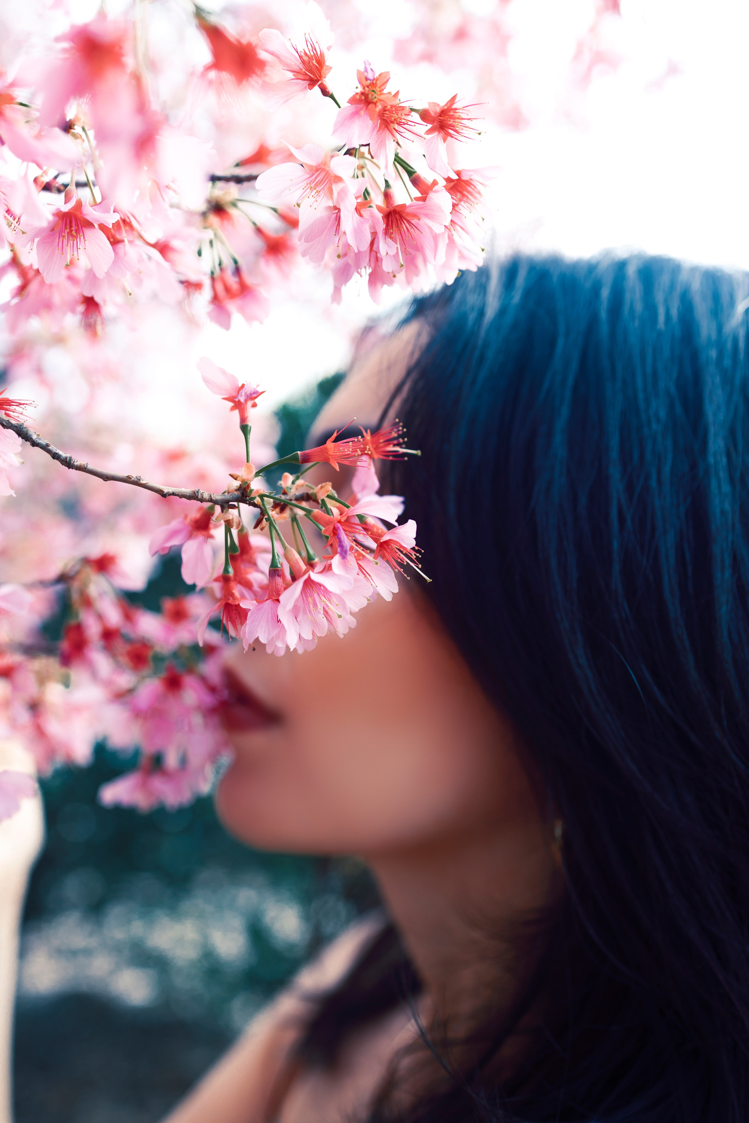 Family and single. Anaeliseevaphoto.com