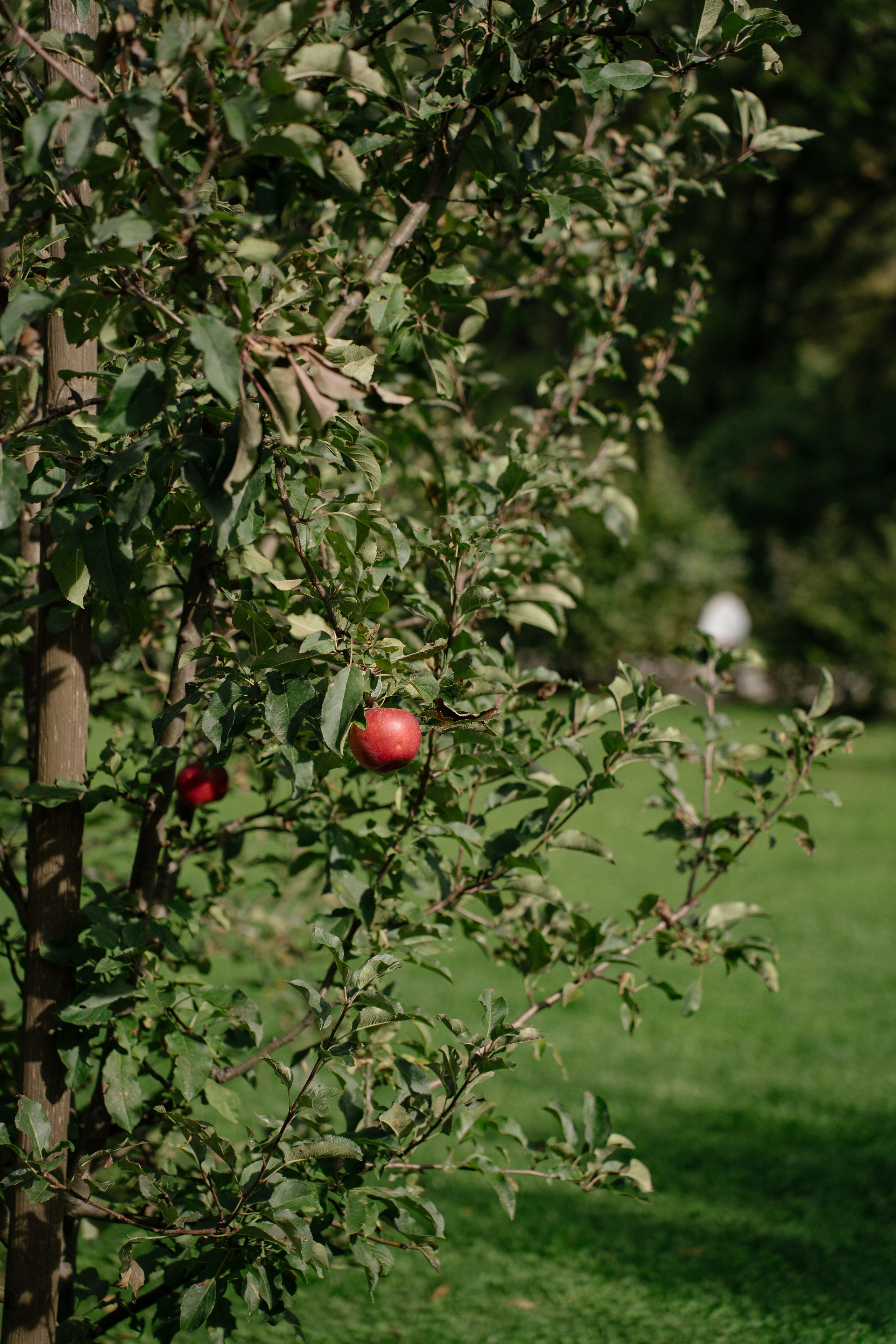 Airbnb. Patricia Morenci — Mountain Adventures for the Wild at Heart