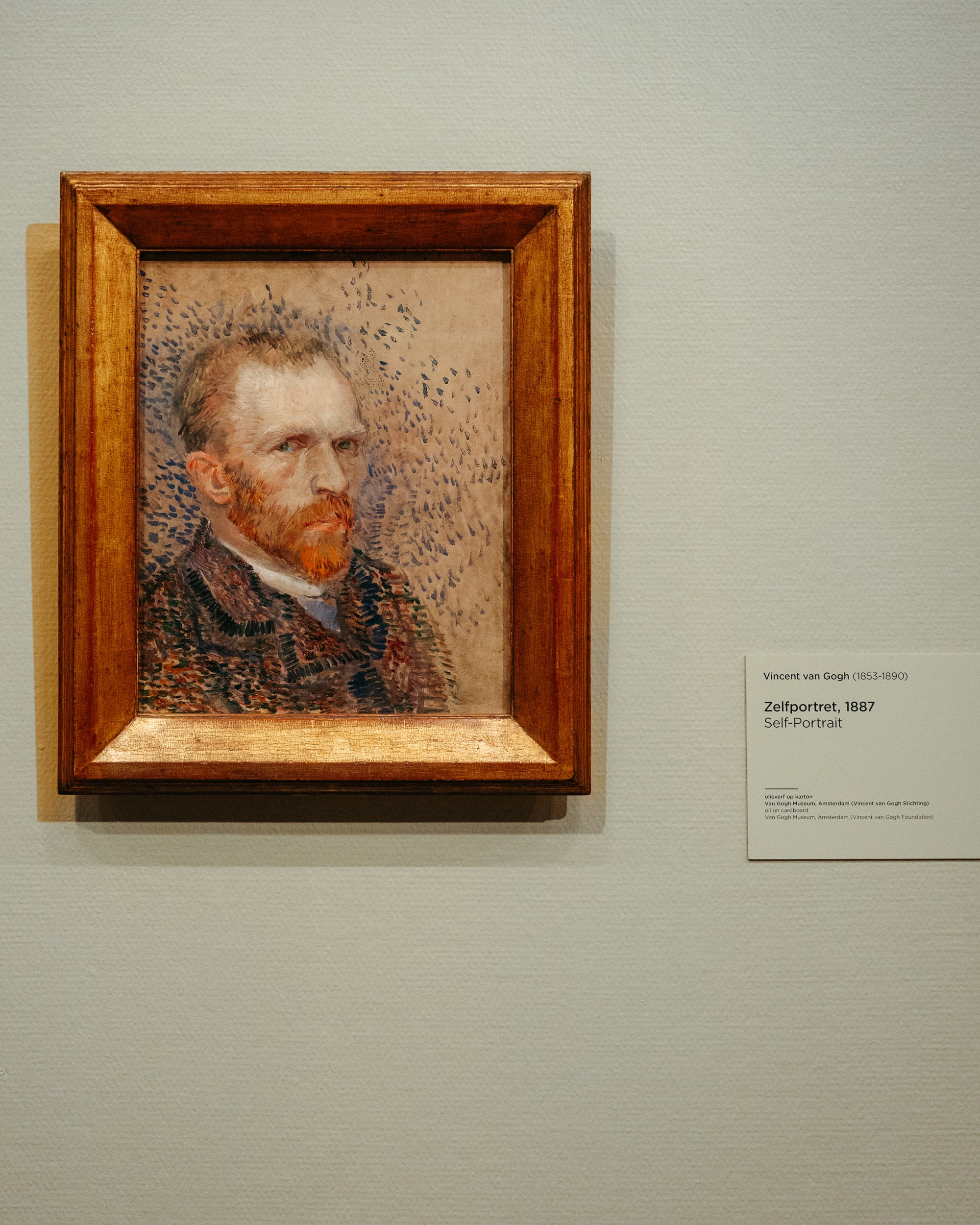 Olanda. Marius Ciocan