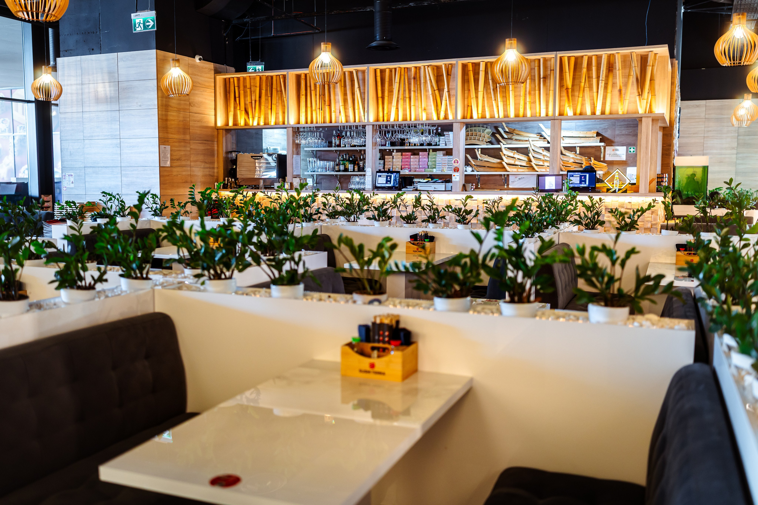 Sushi Terra. Marius Ciocan