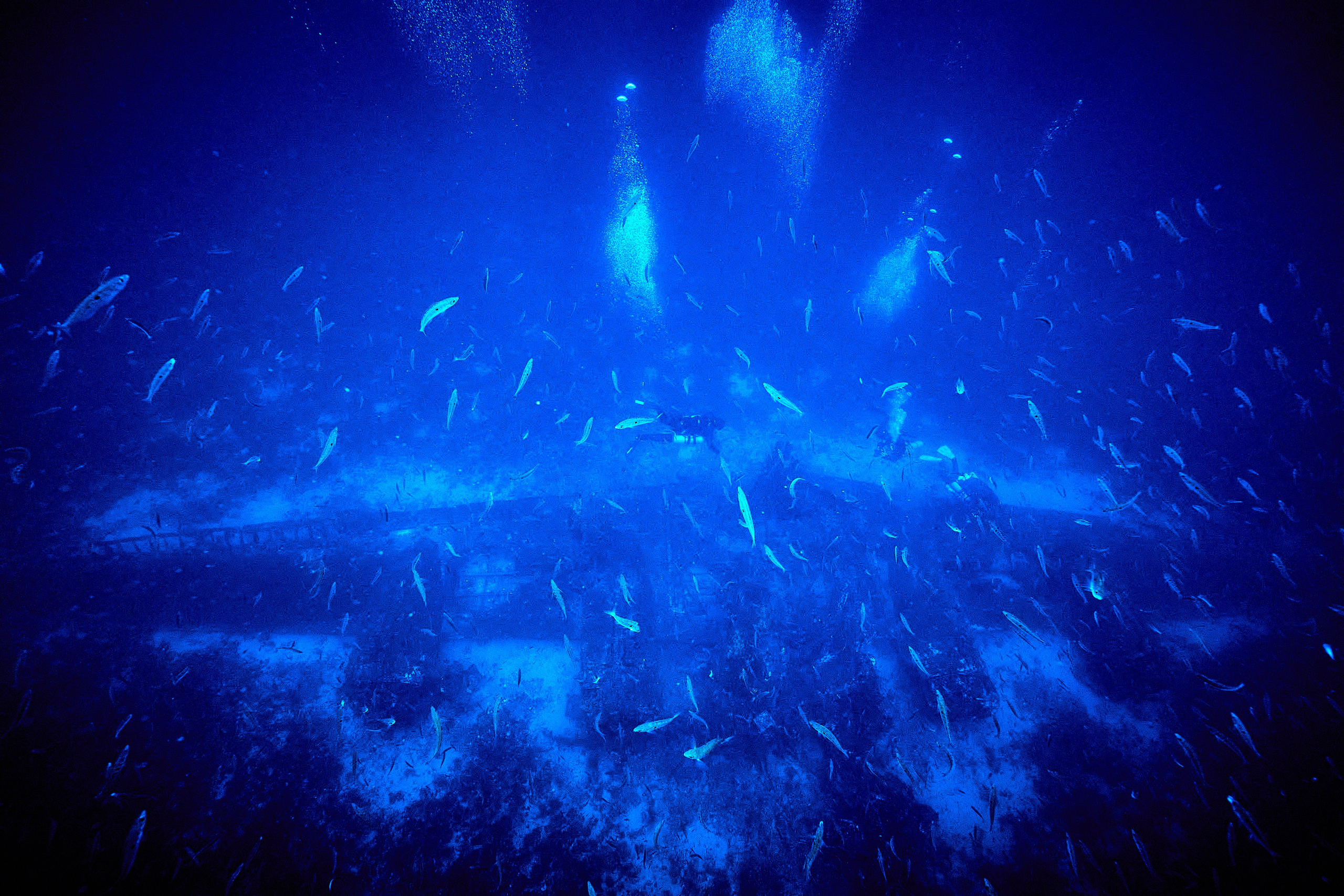 Fotograf podwodny Andriej Szypilow. Wrak samolotu B-24 Liberator „Tulsamerican” spoczywa na dnie Adriatyku w pobliżu wysepki Veli Paržanj, położonej na południowy wschód od wyspy Vis. Samolot był ostatnim egzemplarzem wyprodukowanym w fabryce Douglas w Tulsie w stanie Oklahoma, a za jego powstanie zapłacili pracownicy fabryki i okoliczni mieszkańcy, nadając mu przezwisko „Tulsamerican” (ten egzemplarz - między innymi - zrzucał zaopatrzenie dla Powstania Warszawskiego).