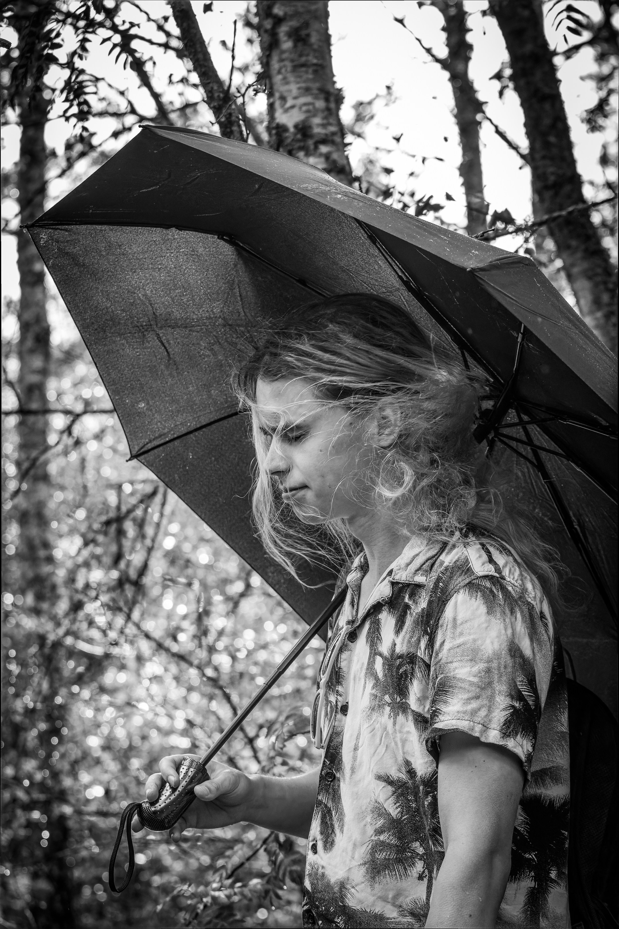 Mets, vihm ja jahedus (Dimitry). Nebula 25 — Fotod teie hingele