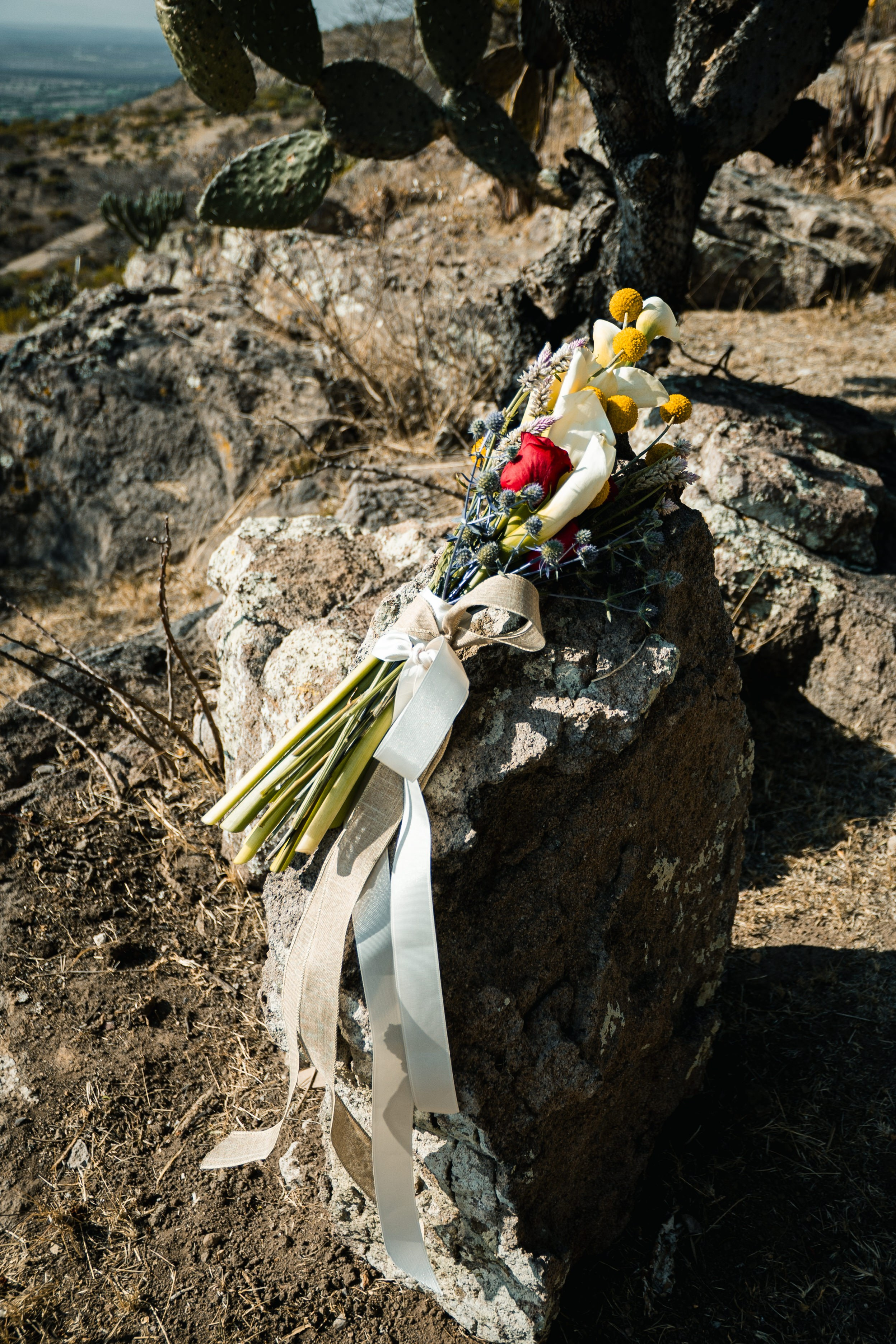 Shayne & Max. Saúl Vázquez | Destination Wedding Photographer
