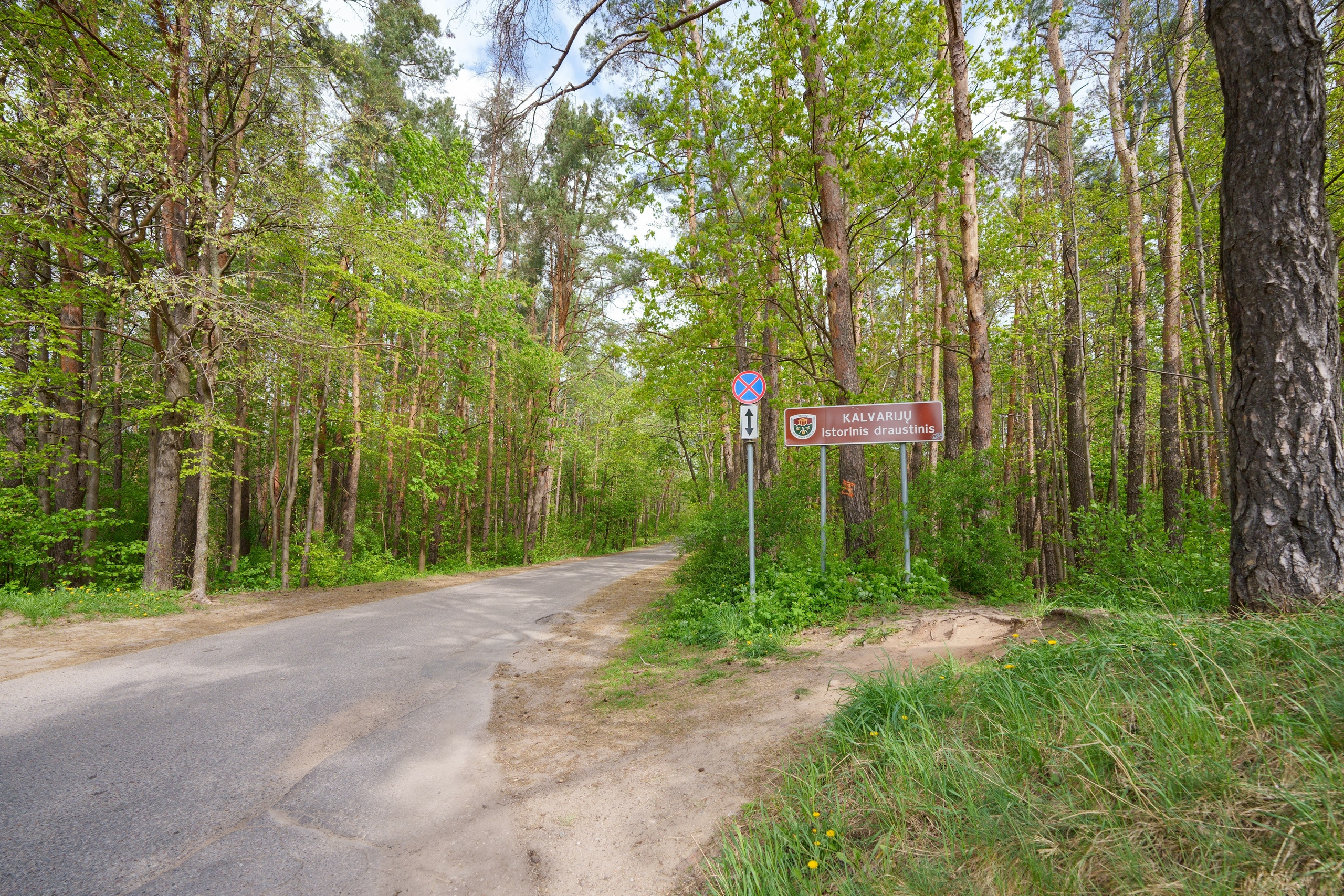 Trinapolio g. 9a. Elina Sapiega fotografė Vilniuje