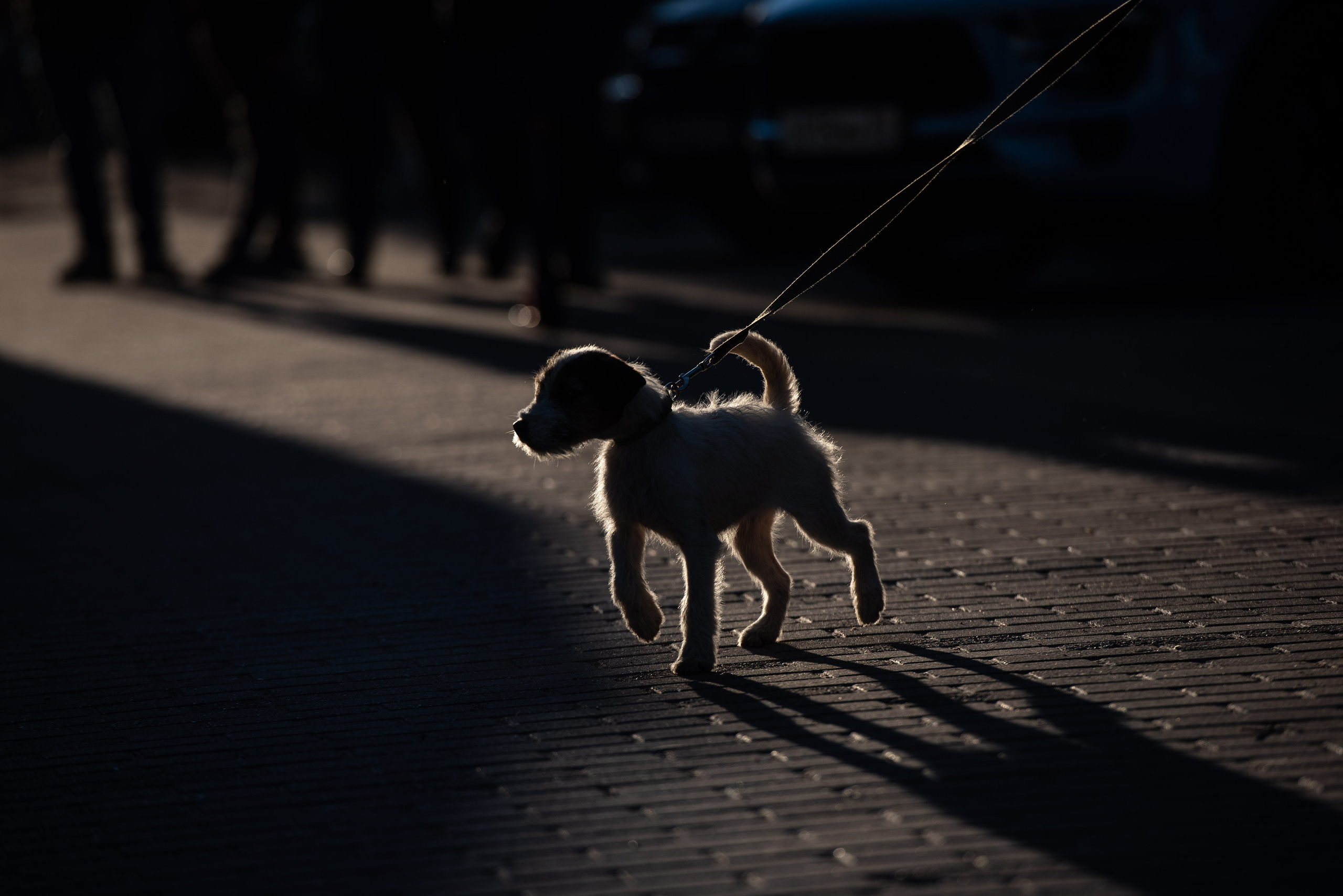 Street. Unit still photographer Roman Galasun