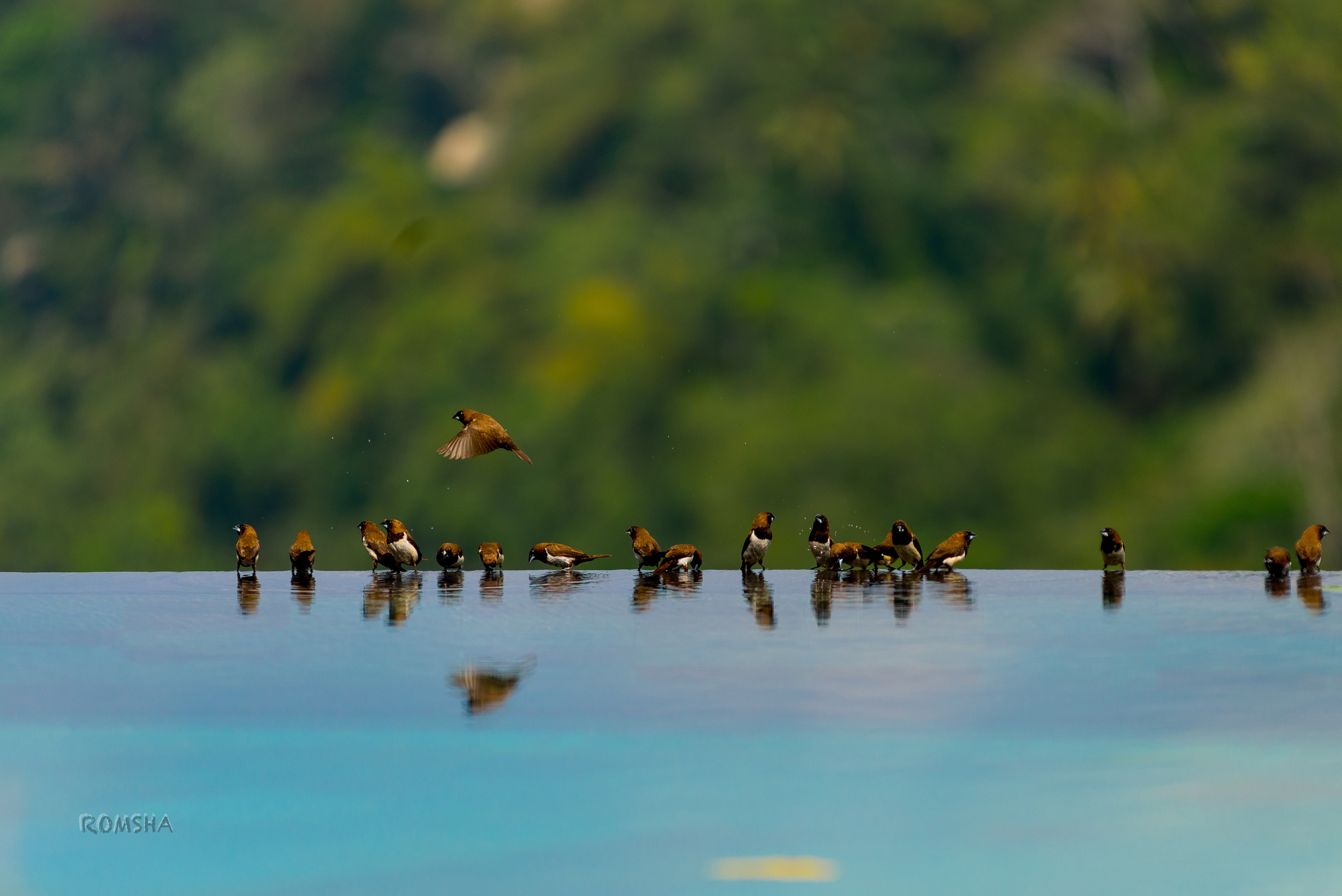 Romsha. Unit still photographer Roman Galasun