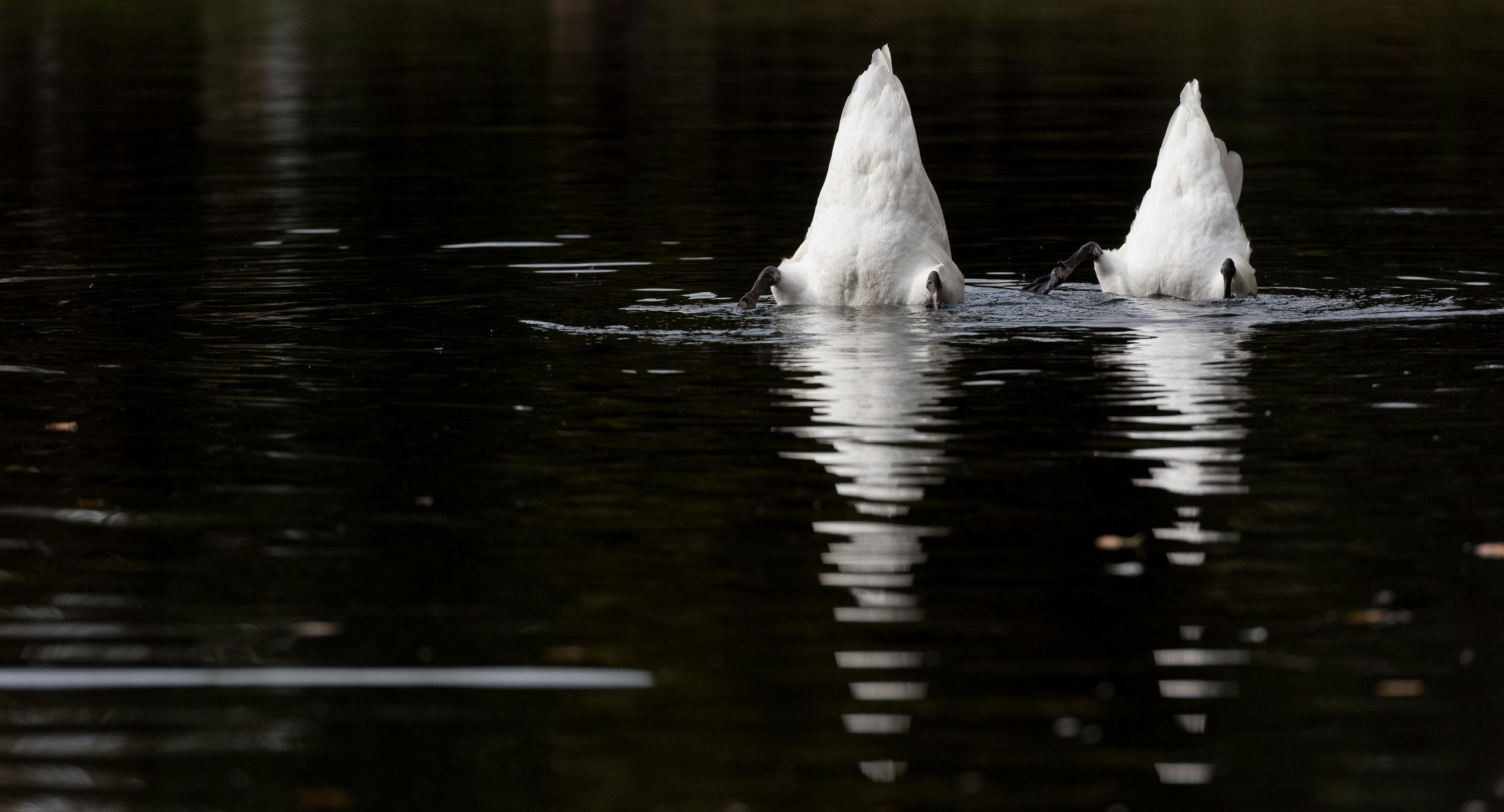 Street. Unit still photographer Roman Galasun